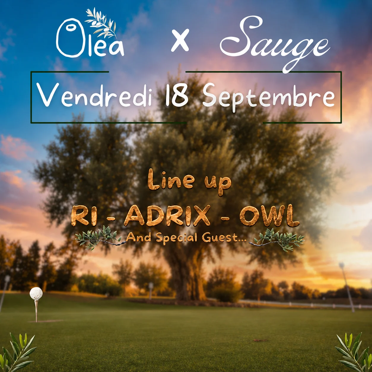 Olea X Sauge 🫒