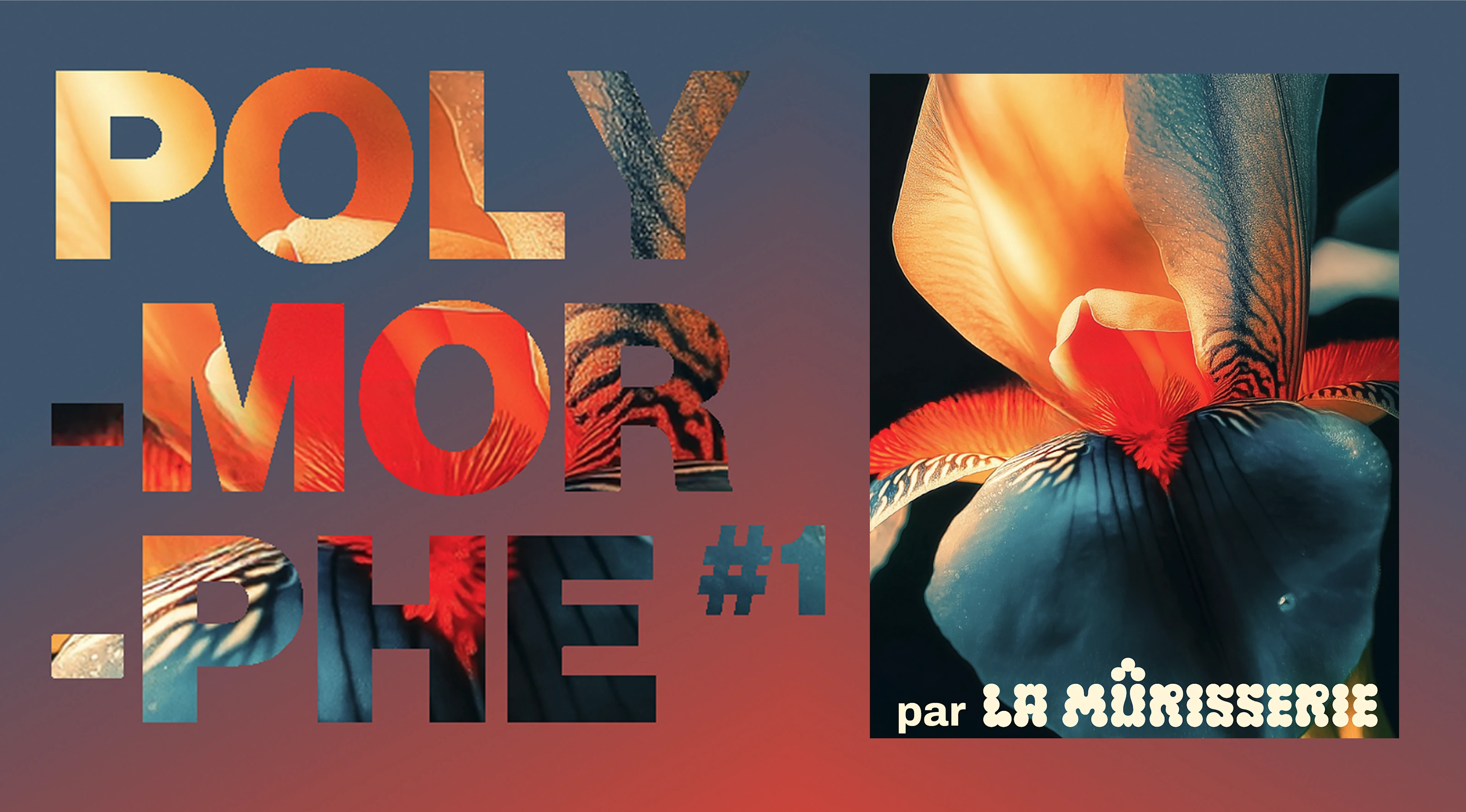 La Mûrisserie Présente Polymorphe #1 - Prix Libre