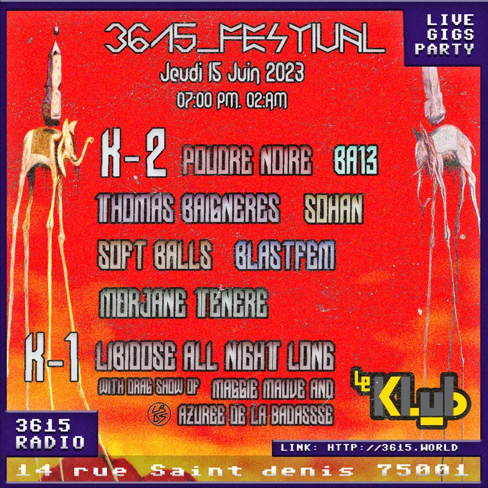 3615_Festival With Libidose And Lot Of Band