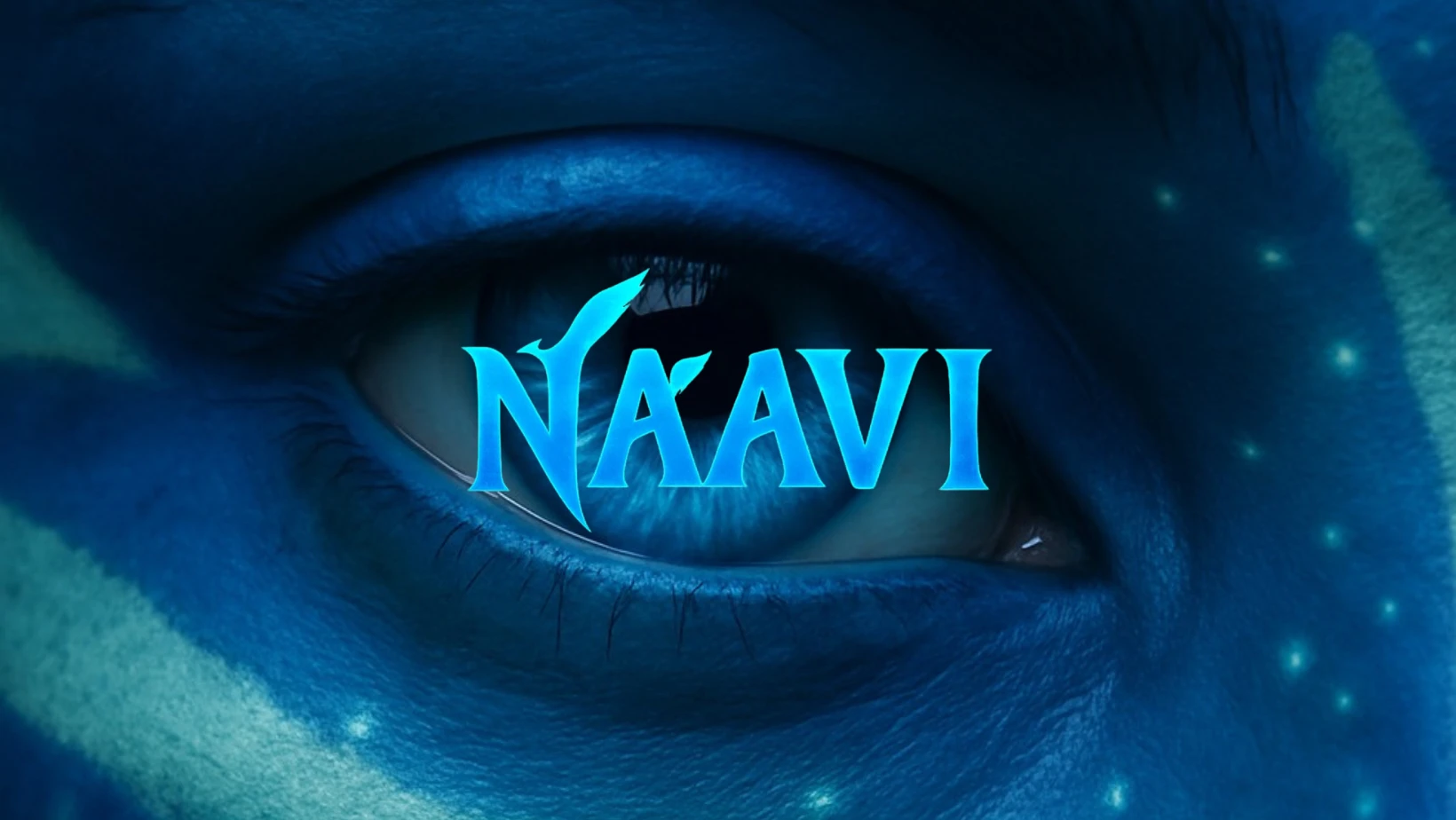 Naavi-Maison Gerland