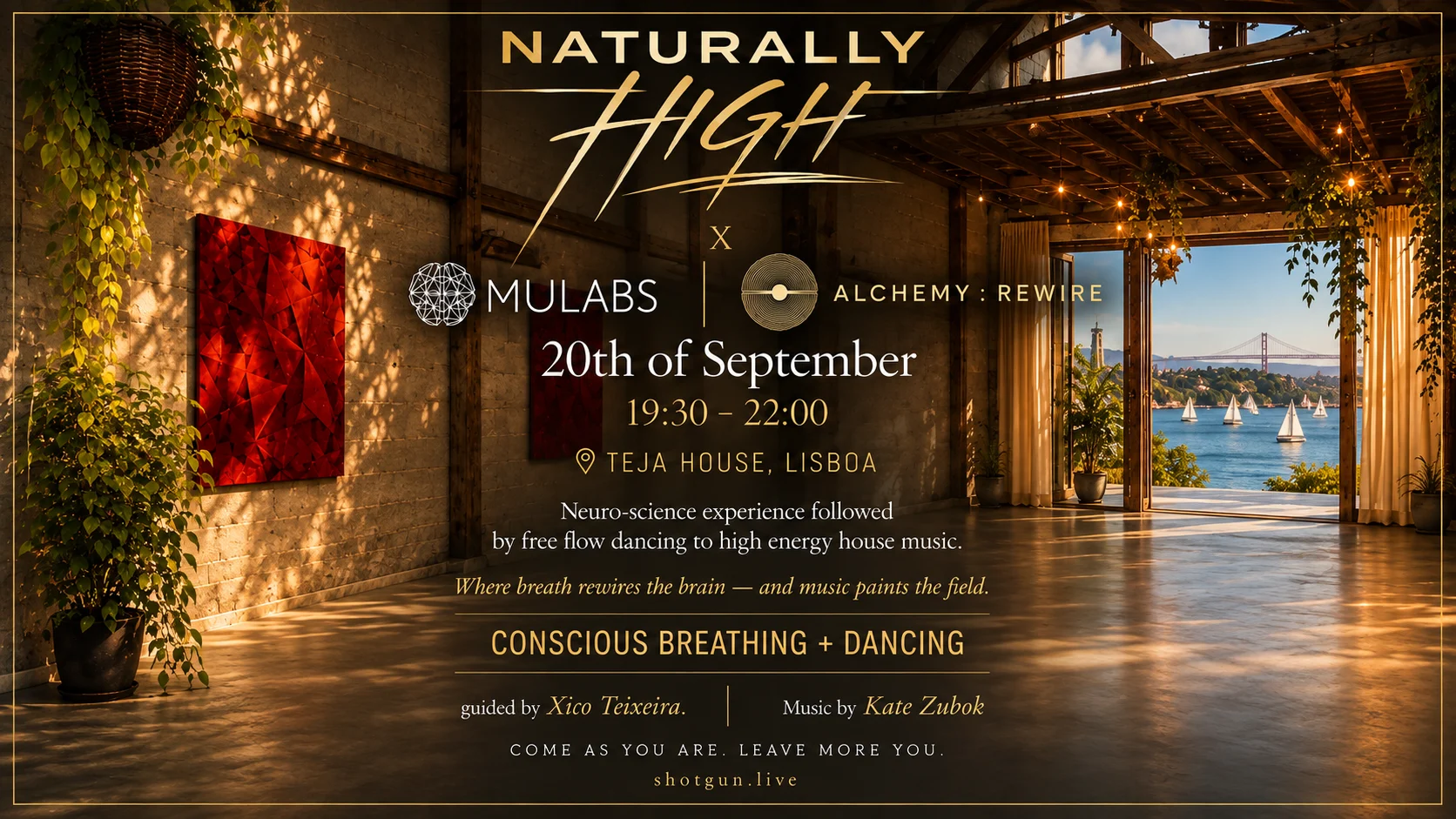 Naturally High X Mulabs