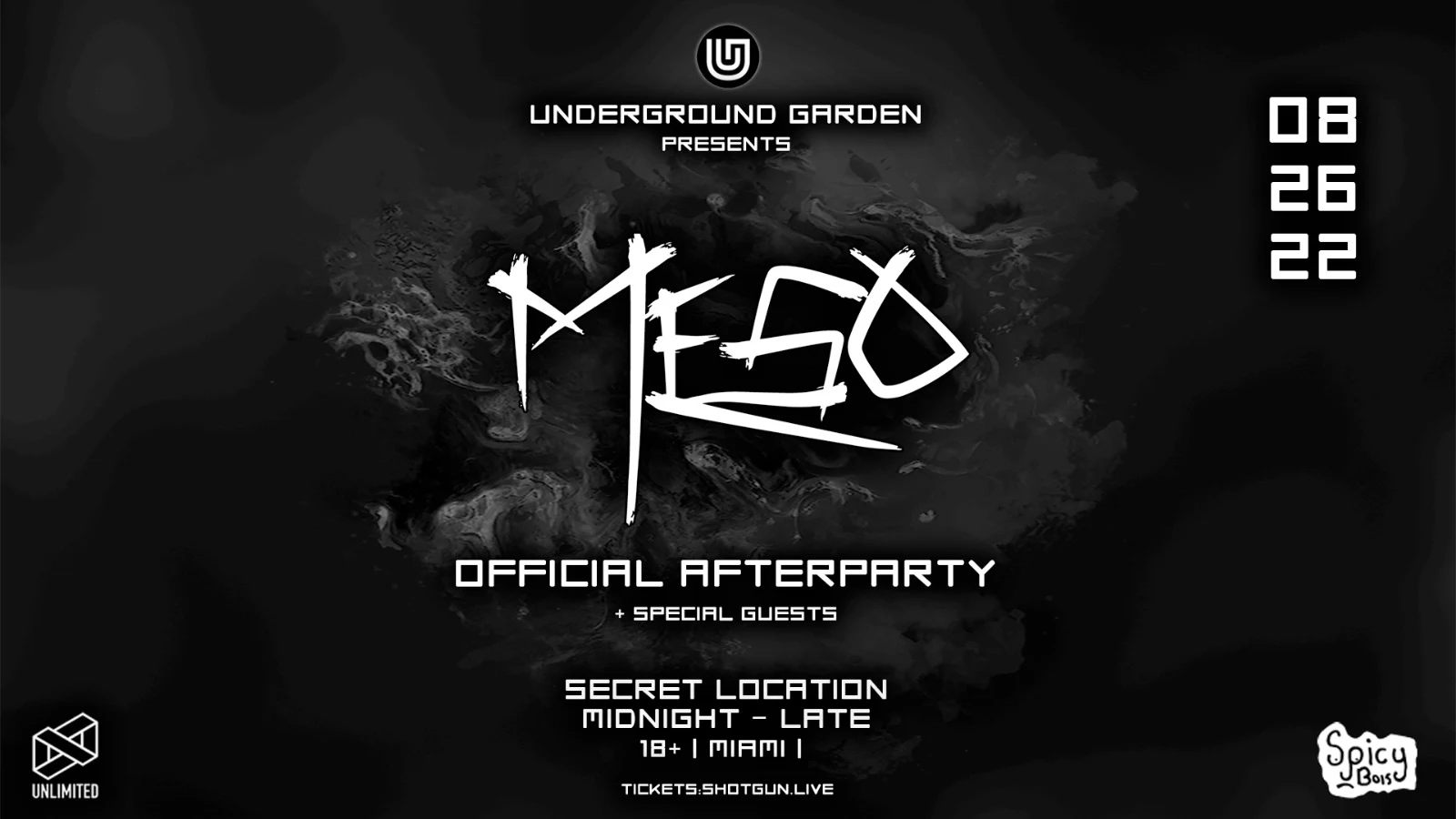 Meso After Party 