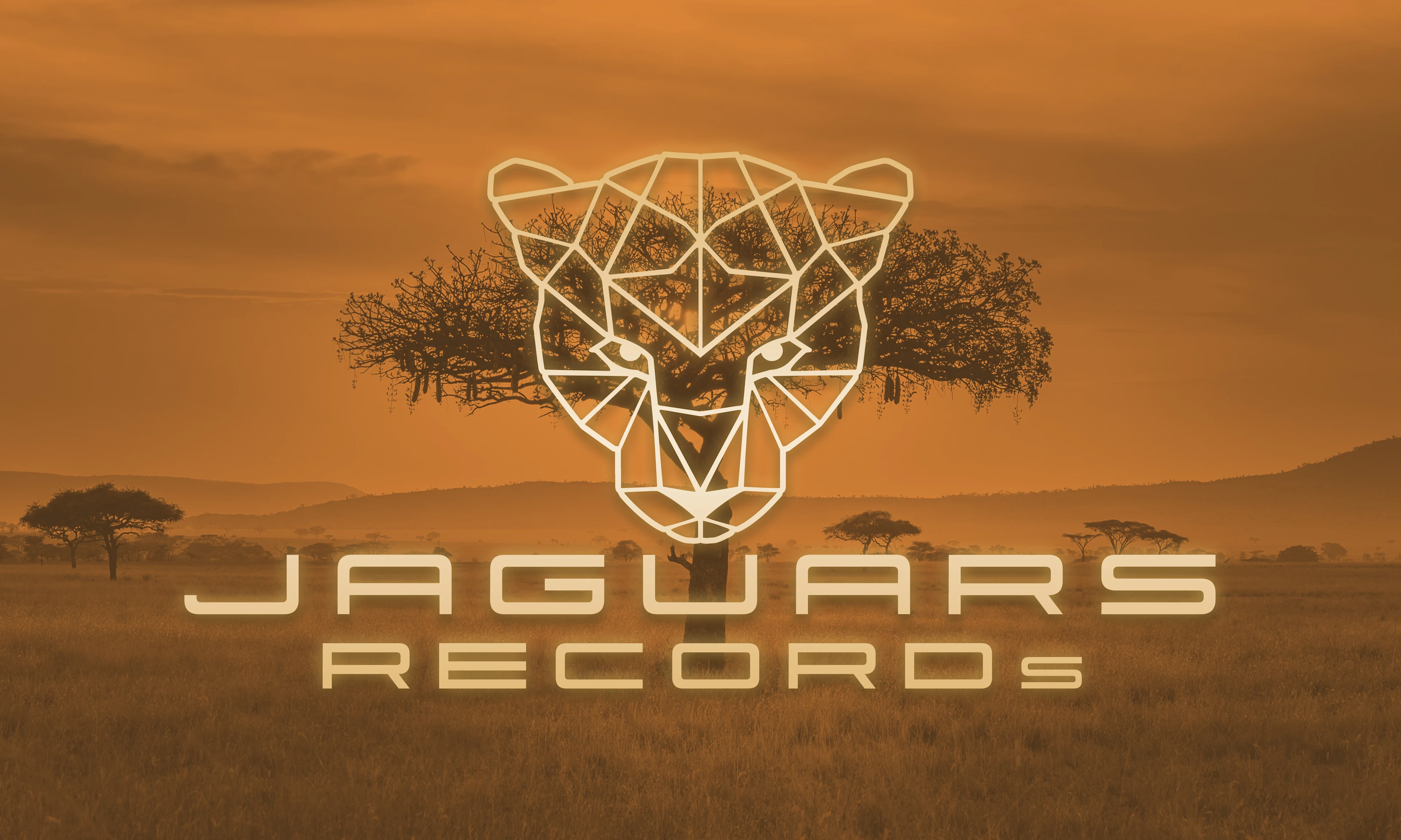 JAGUARs RECORDs