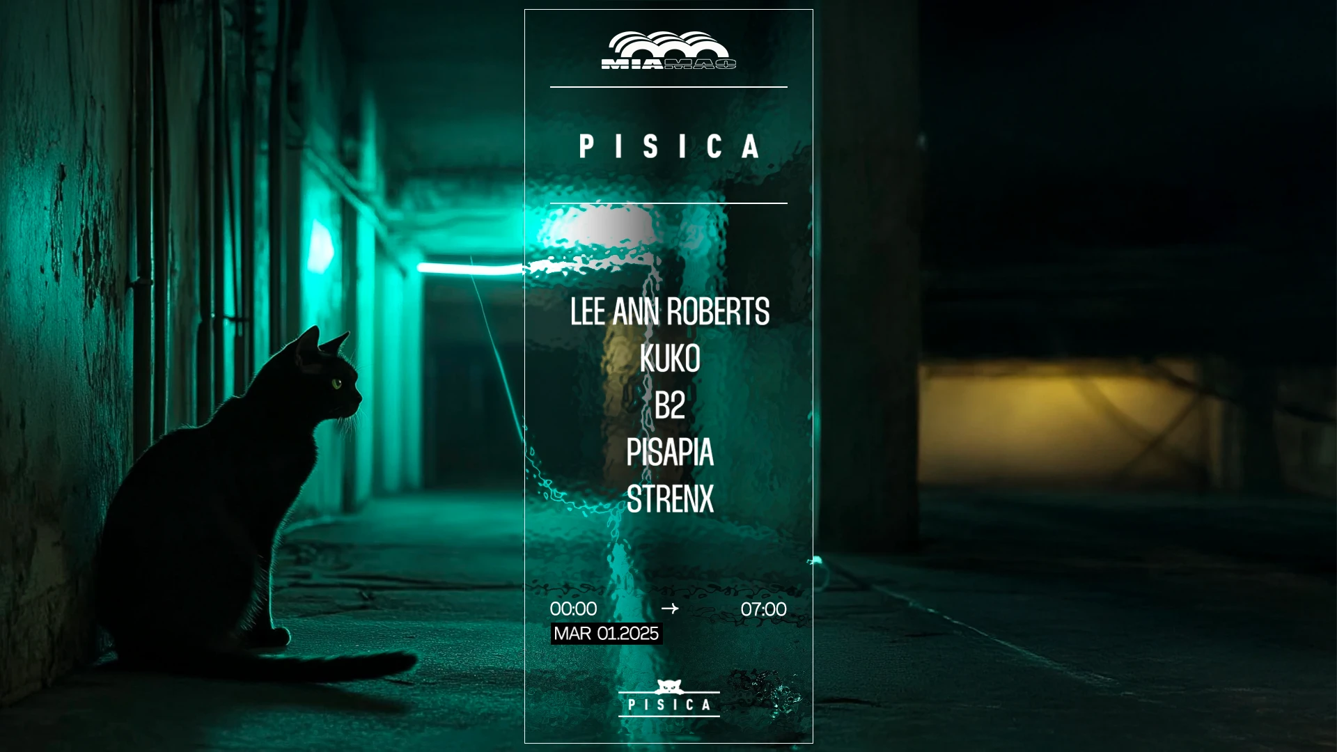 Pisica : Lee Ann Roberts, Kuko, B2, Pisapia, Strenx