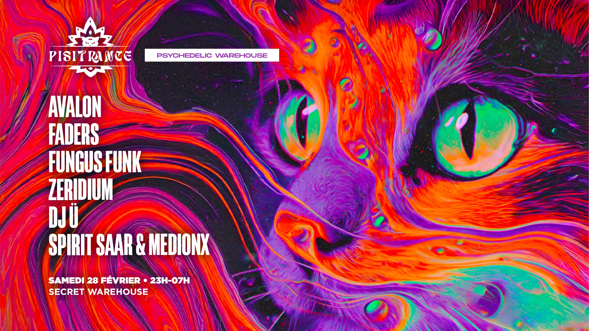 Pisitrance Warehouse : Avalon, Faders, Fungusfunk & More