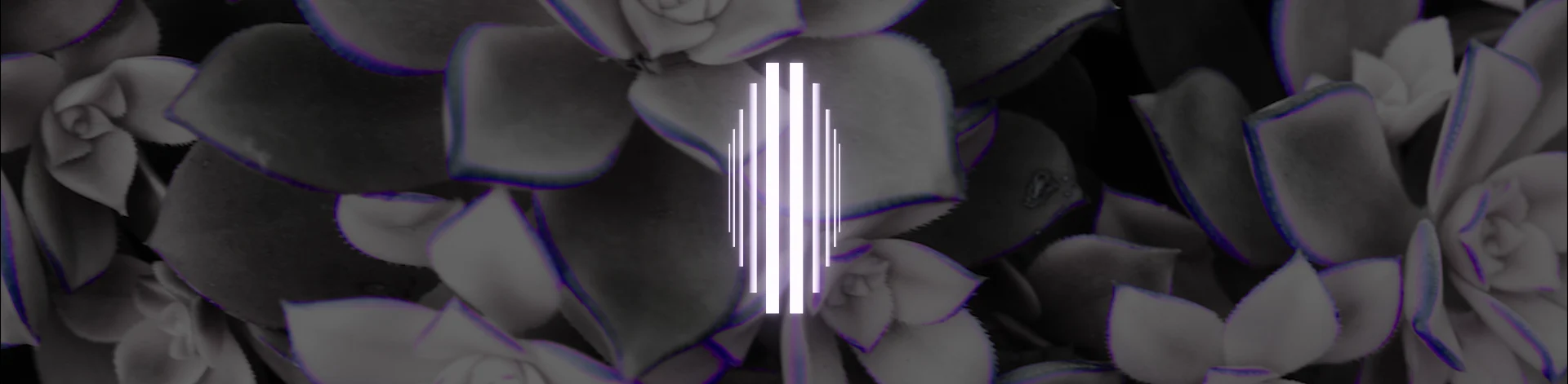 CONDU||T