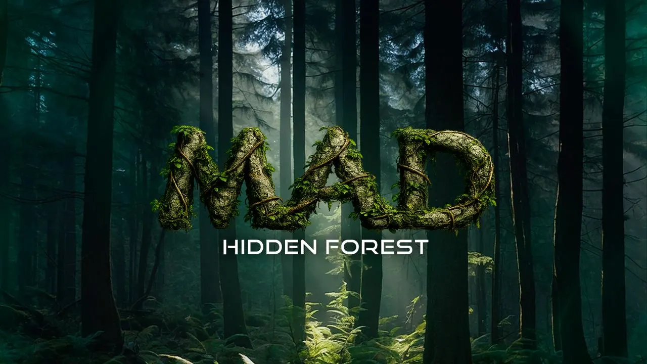 Hidden Forest