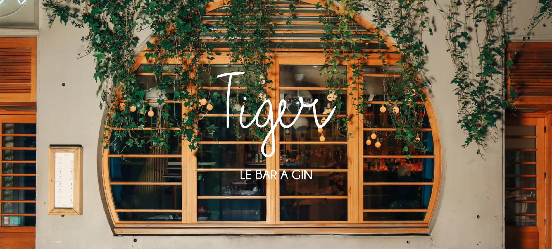Tiger Paris
