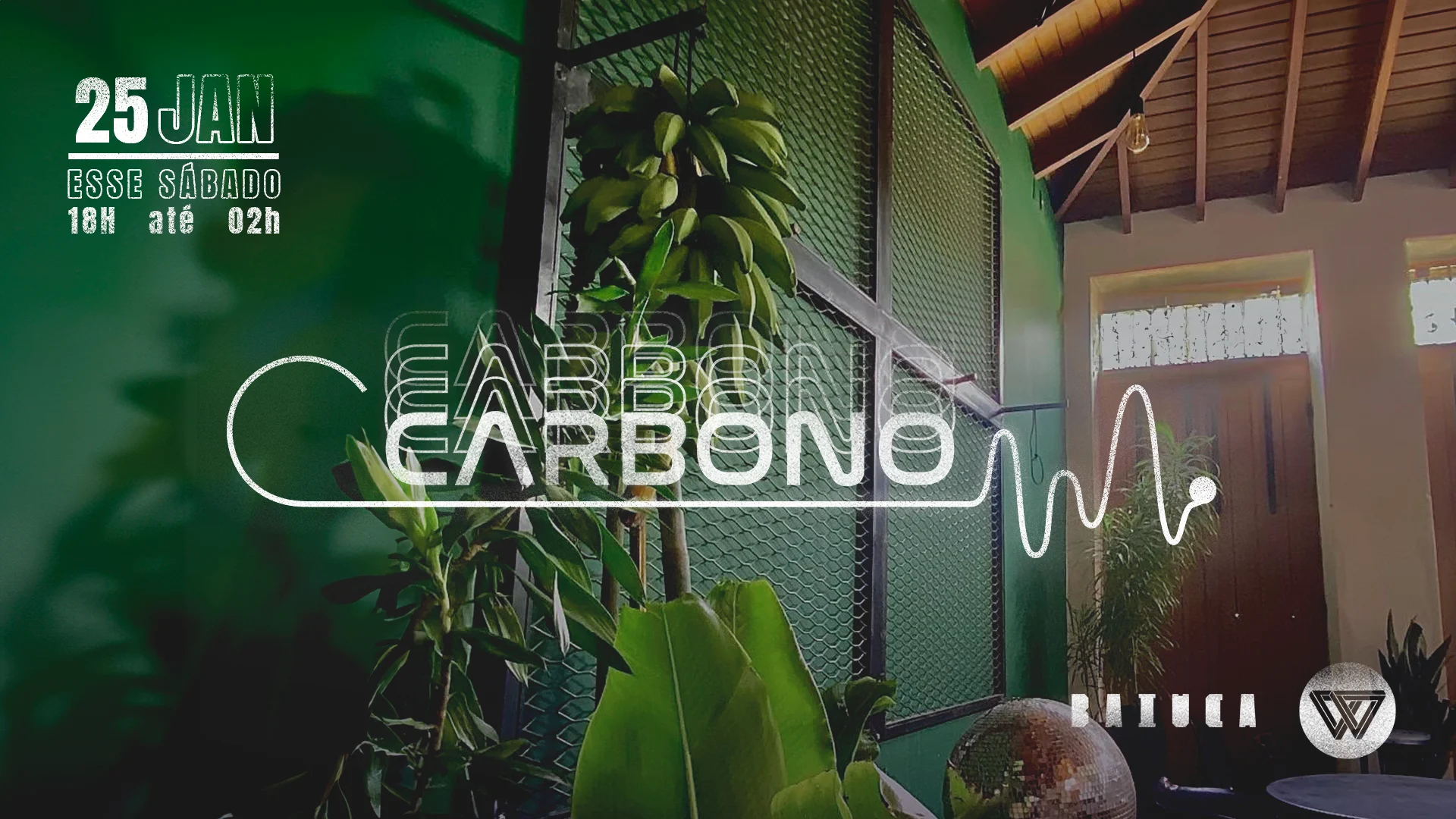 Carbono #1