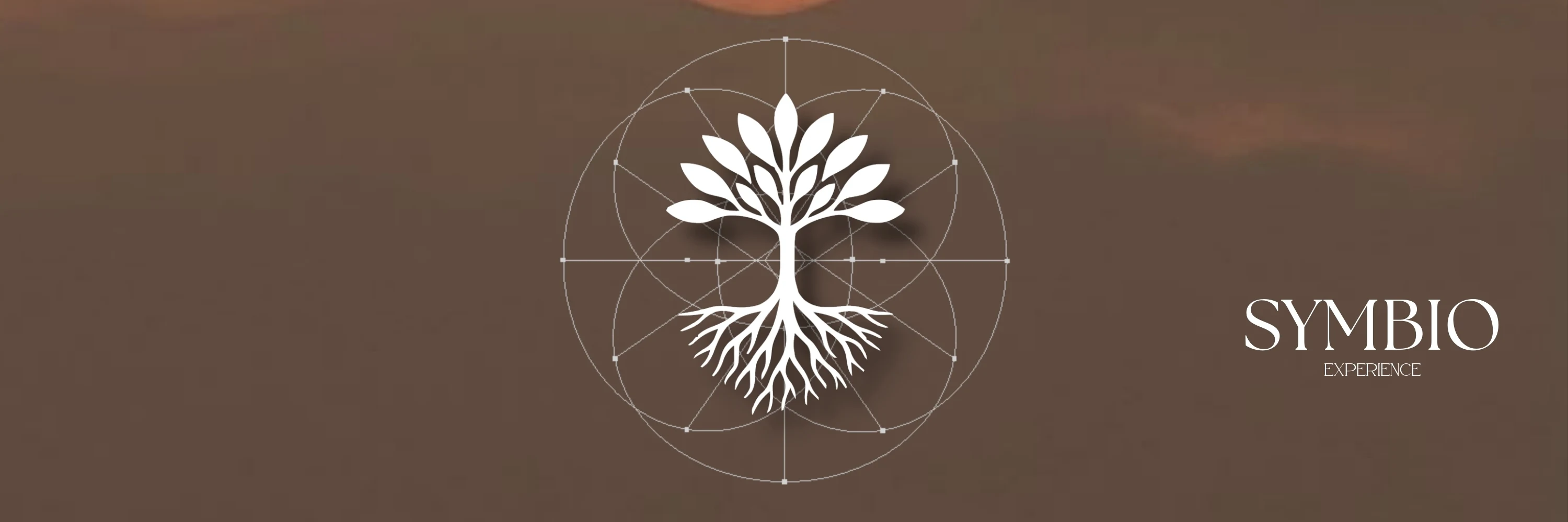Symbio Experience