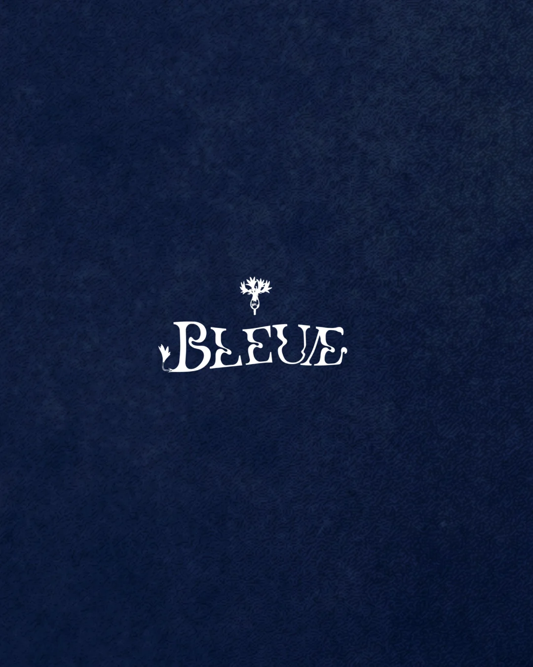 Bleuæ