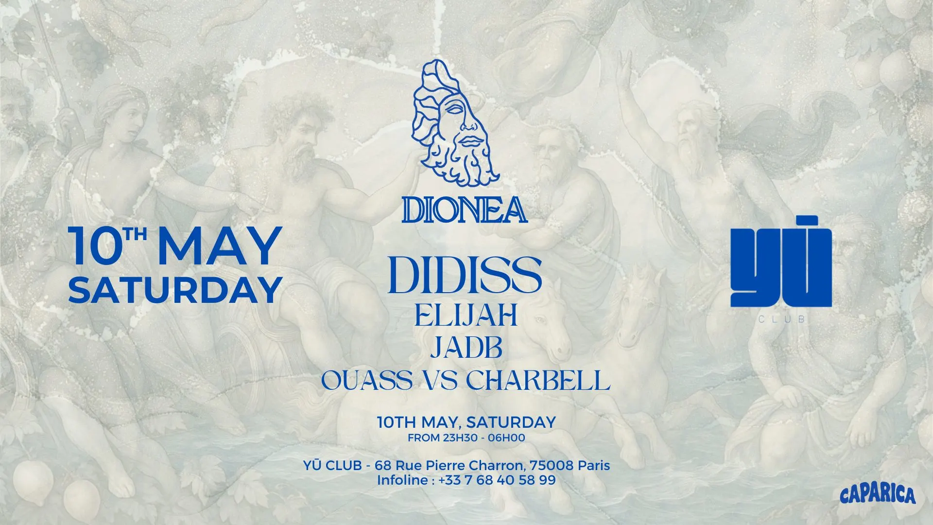 Dionea | @Yu Club