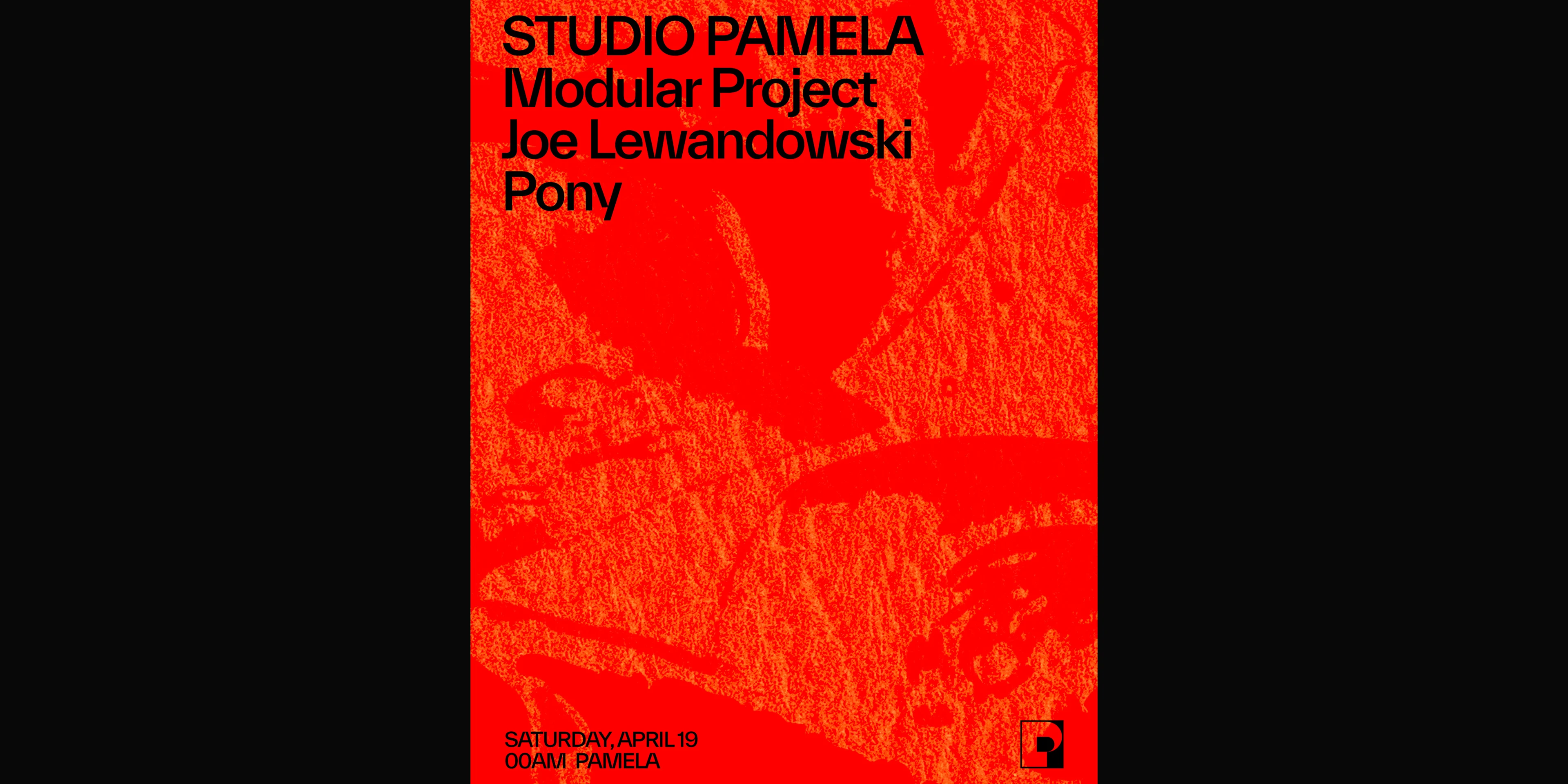 Studio Pamela W/ Modular Project, Joe Lewandowski, Pony