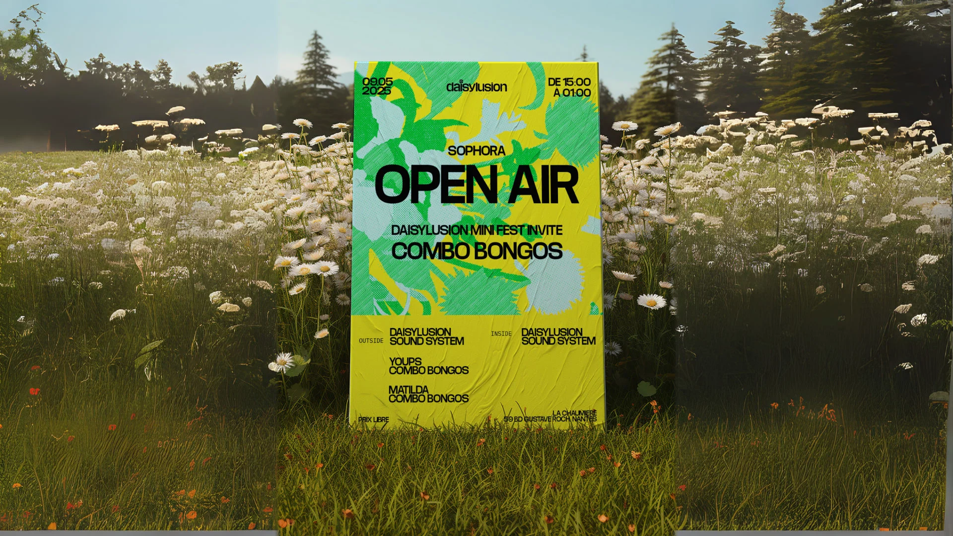 Sophora Open Air: Daisylusion Invite Combo Bongos