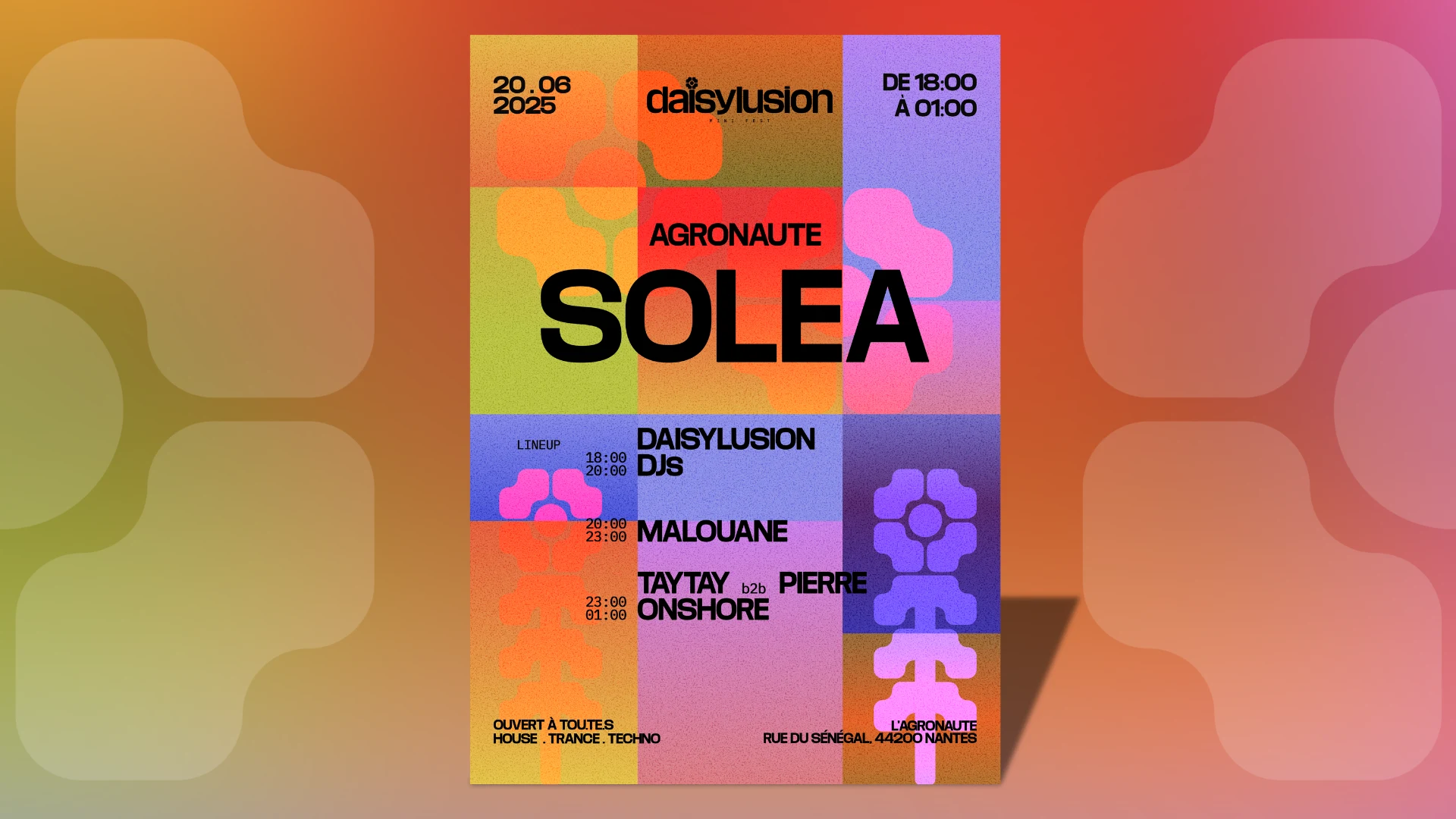 Daisylusion Mini Fest X L'agronaute: Solea
