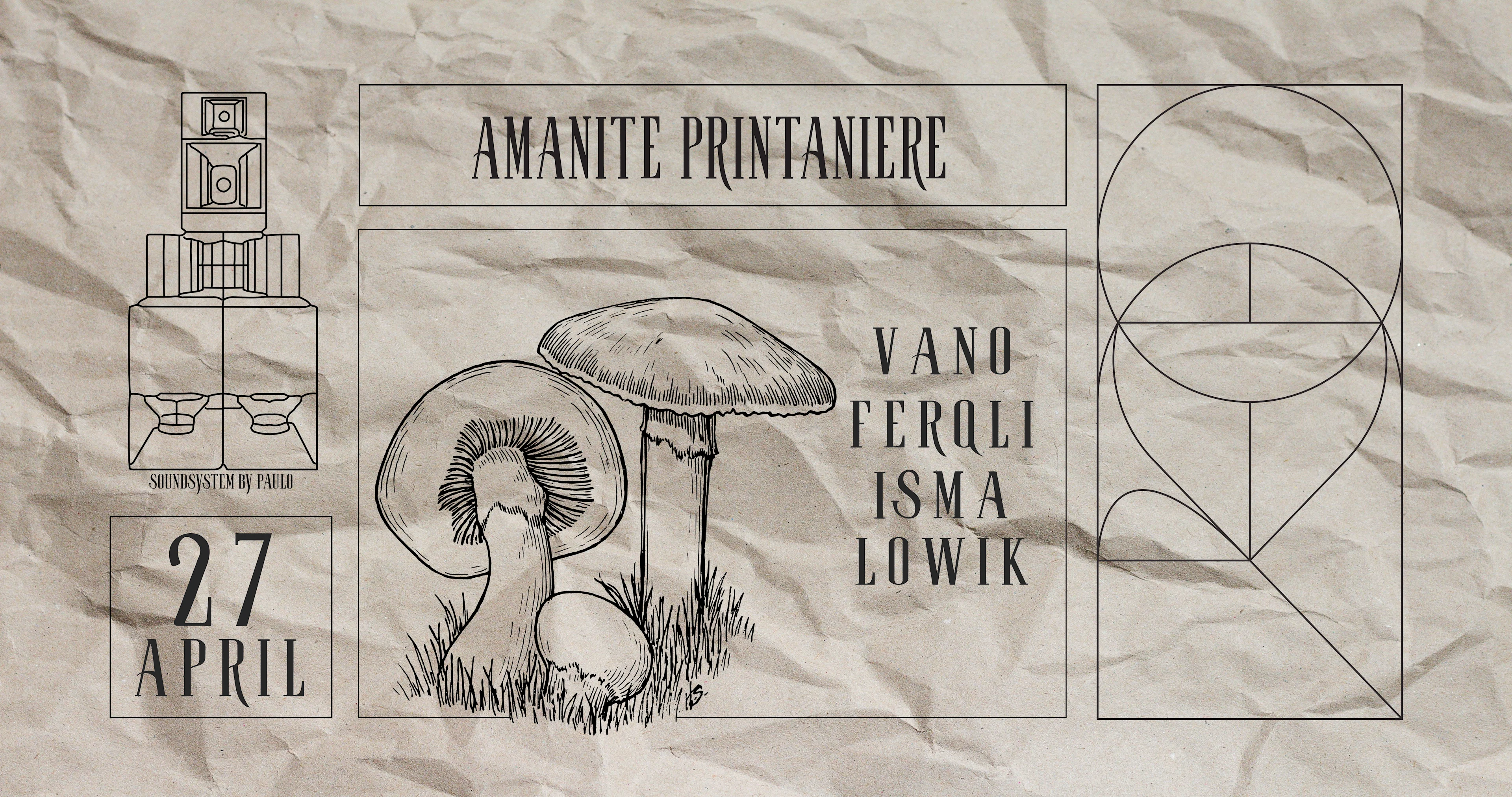 Amanite Printanière ⚘