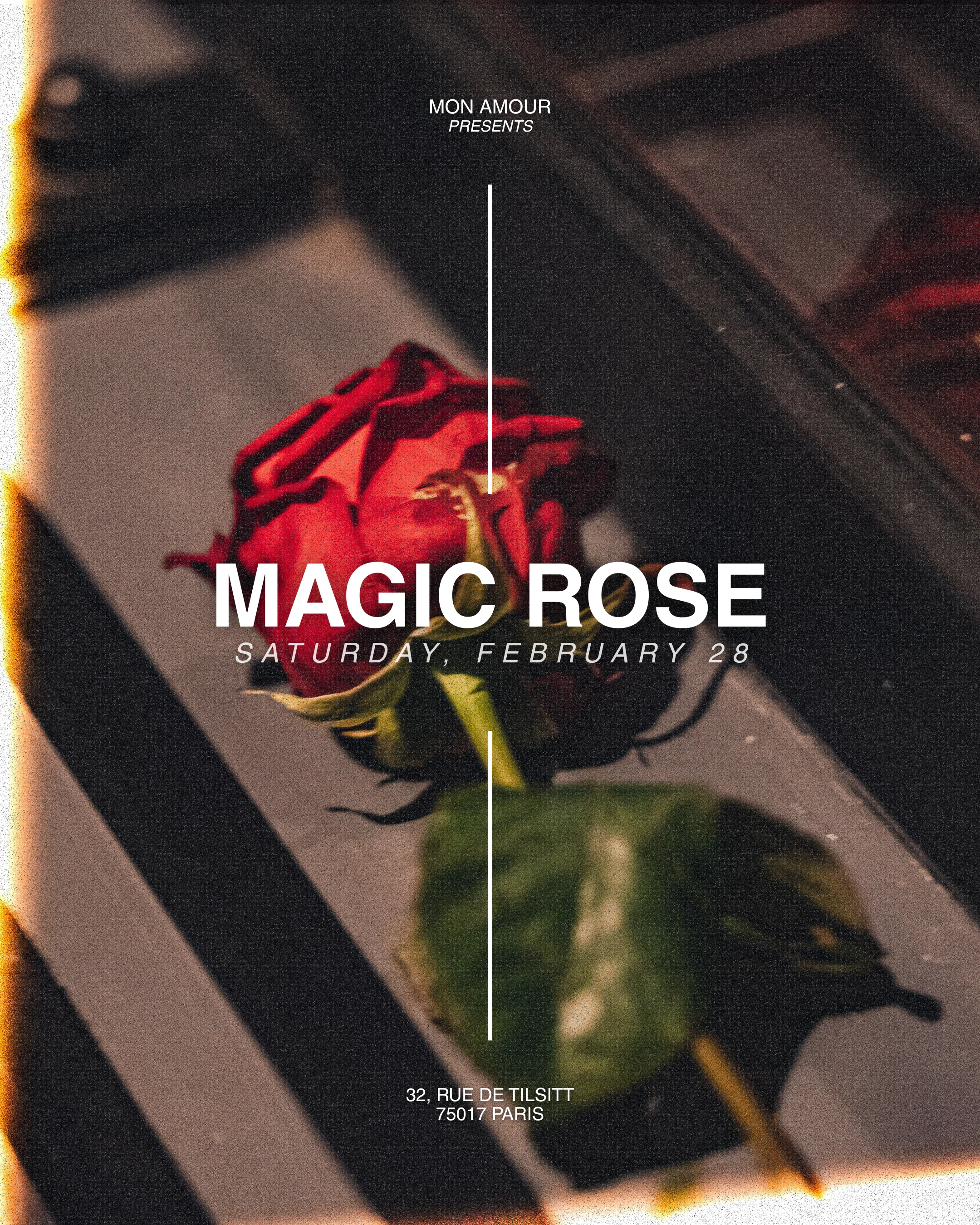 Magic Rose | Act #2