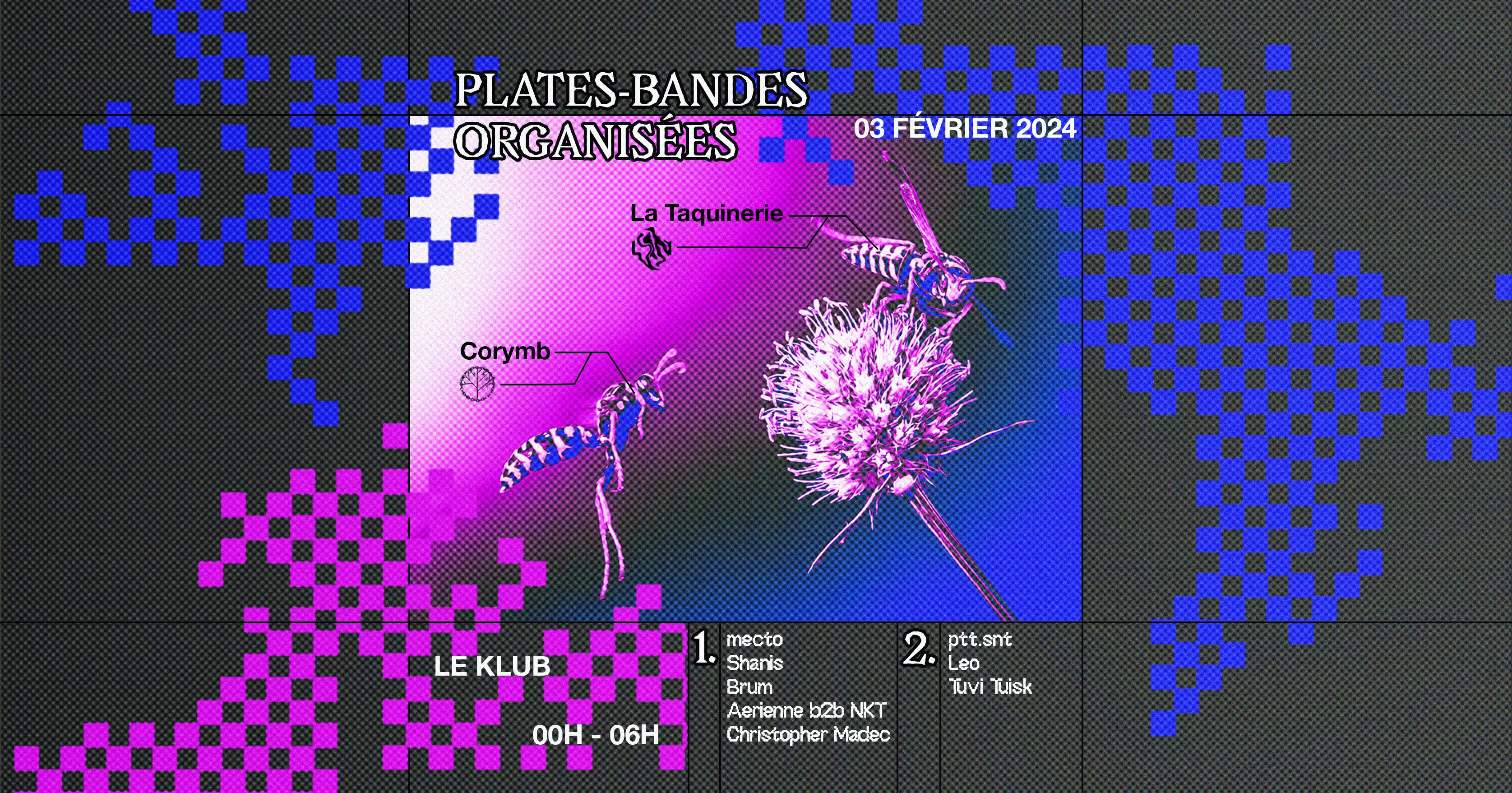 Plates-Bandes Organisées : La Taquinerie Invite Corymb