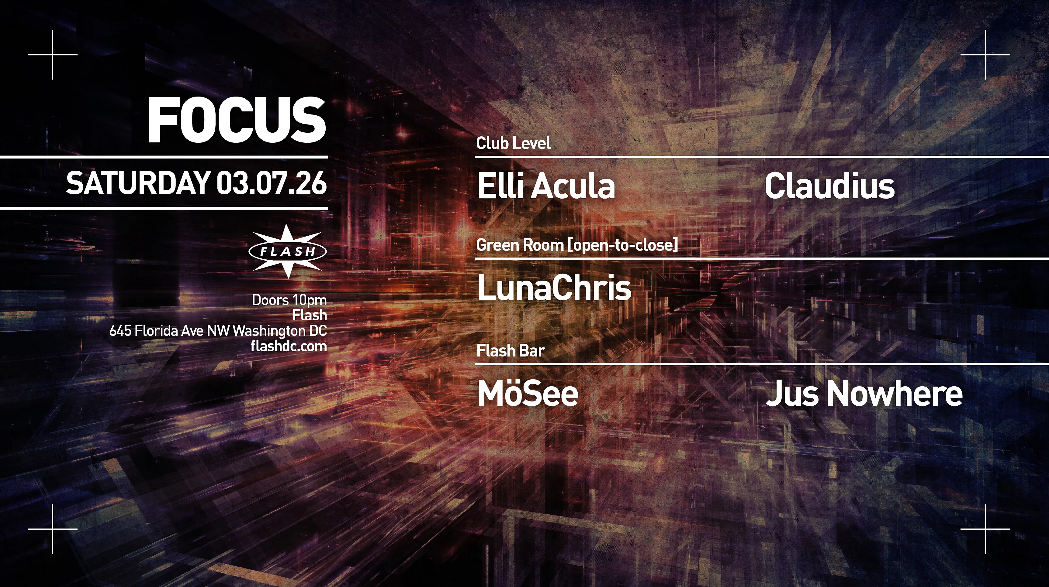 Focus: Elli Acula