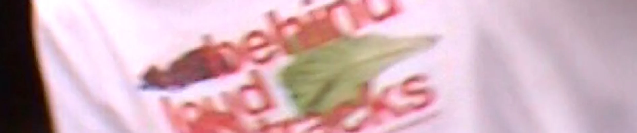 BLT RADIO