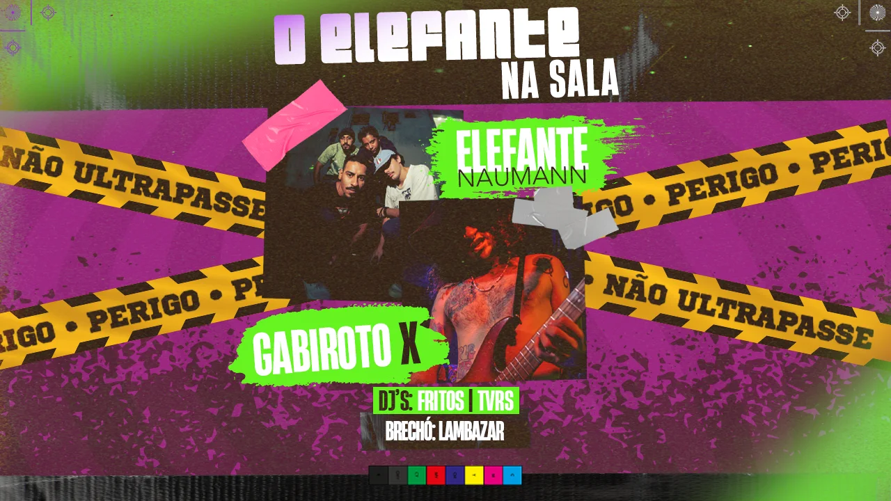 O Elefante Na Sala