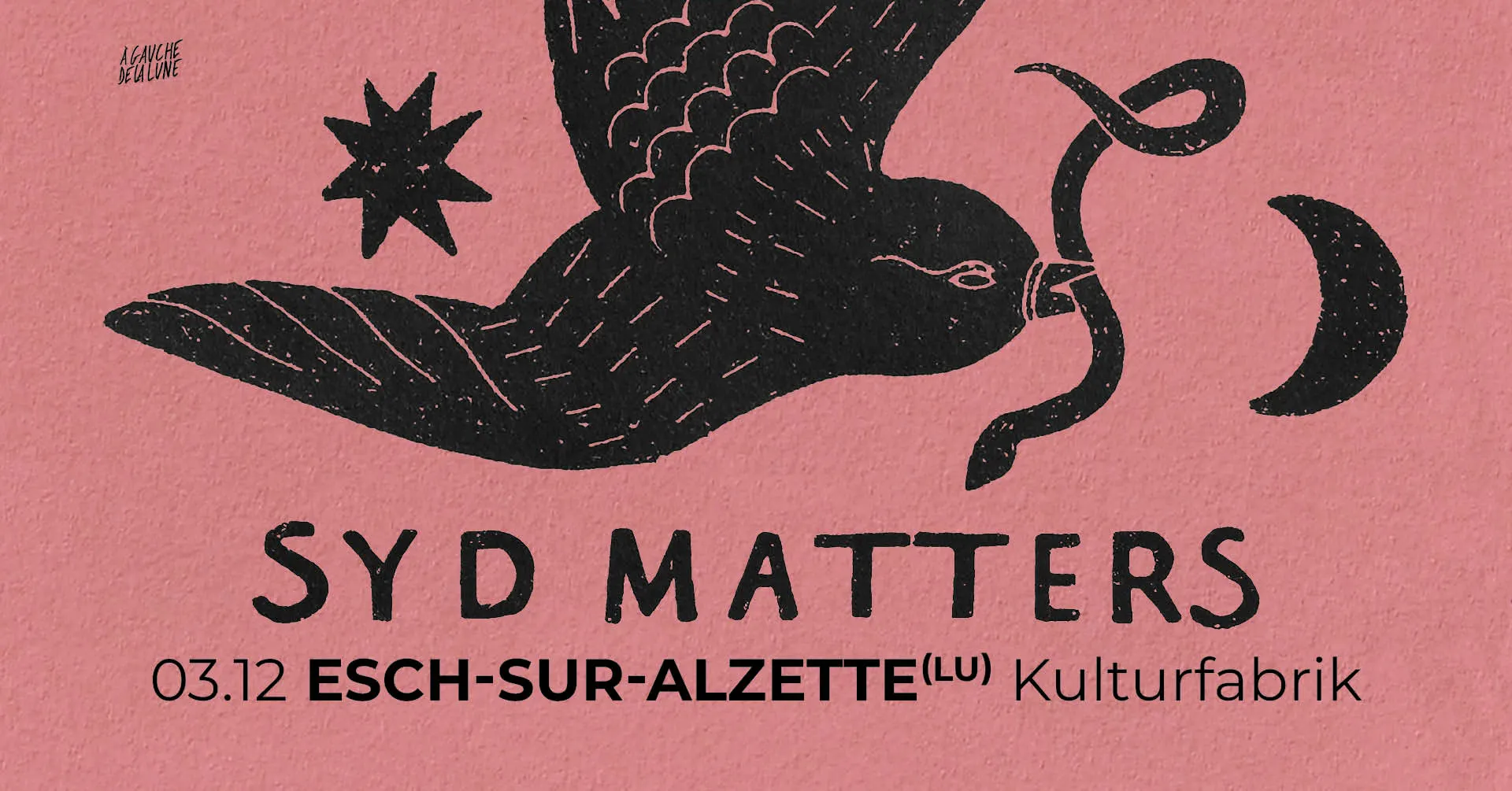 Syd Matters + Blumi - Kulturfabrik