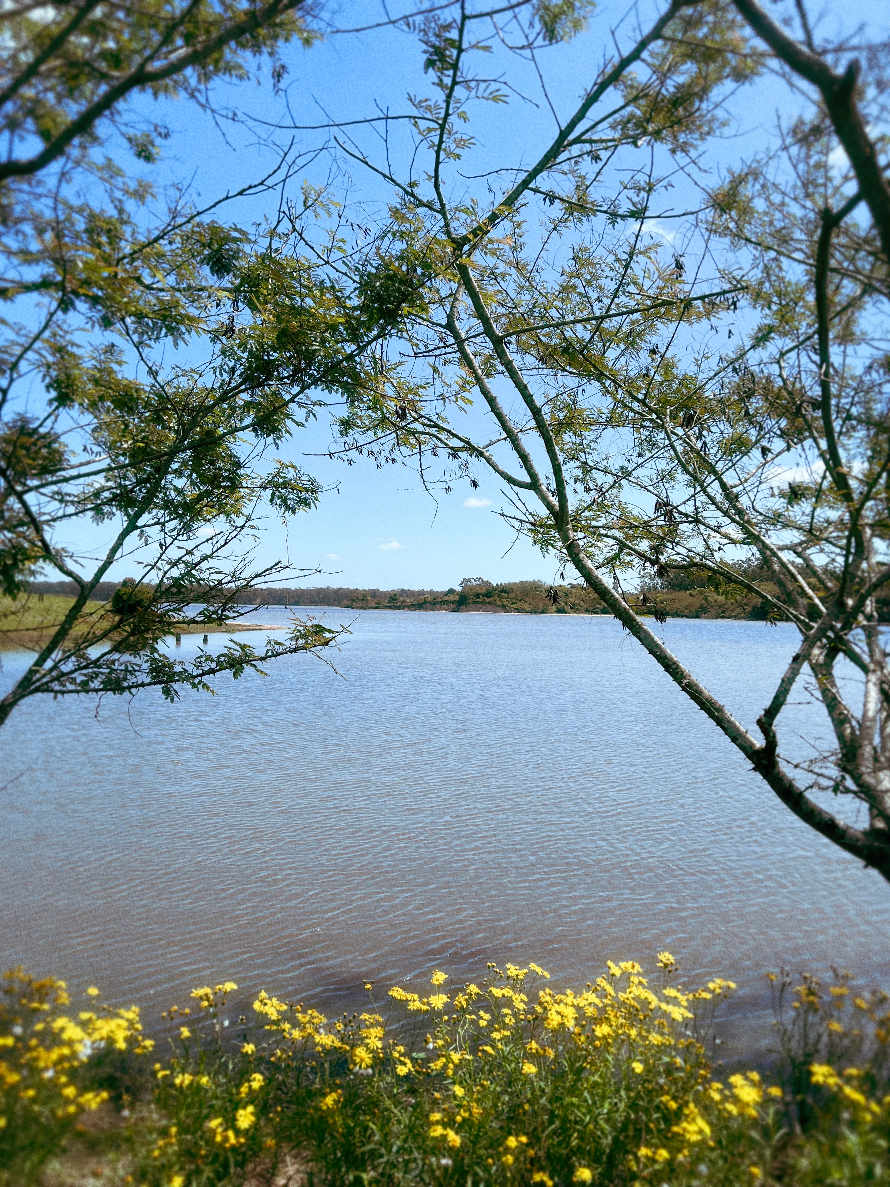 C R E M A   Ás Margens Da Barragem Santa Bárbara