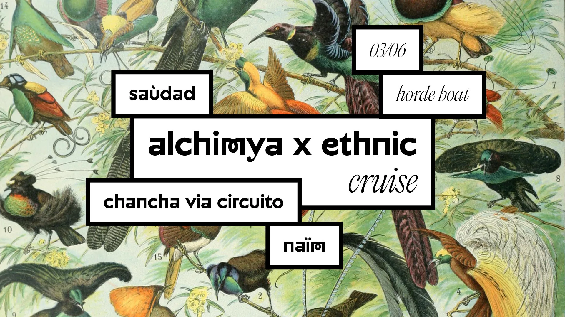 Alchimya Paris