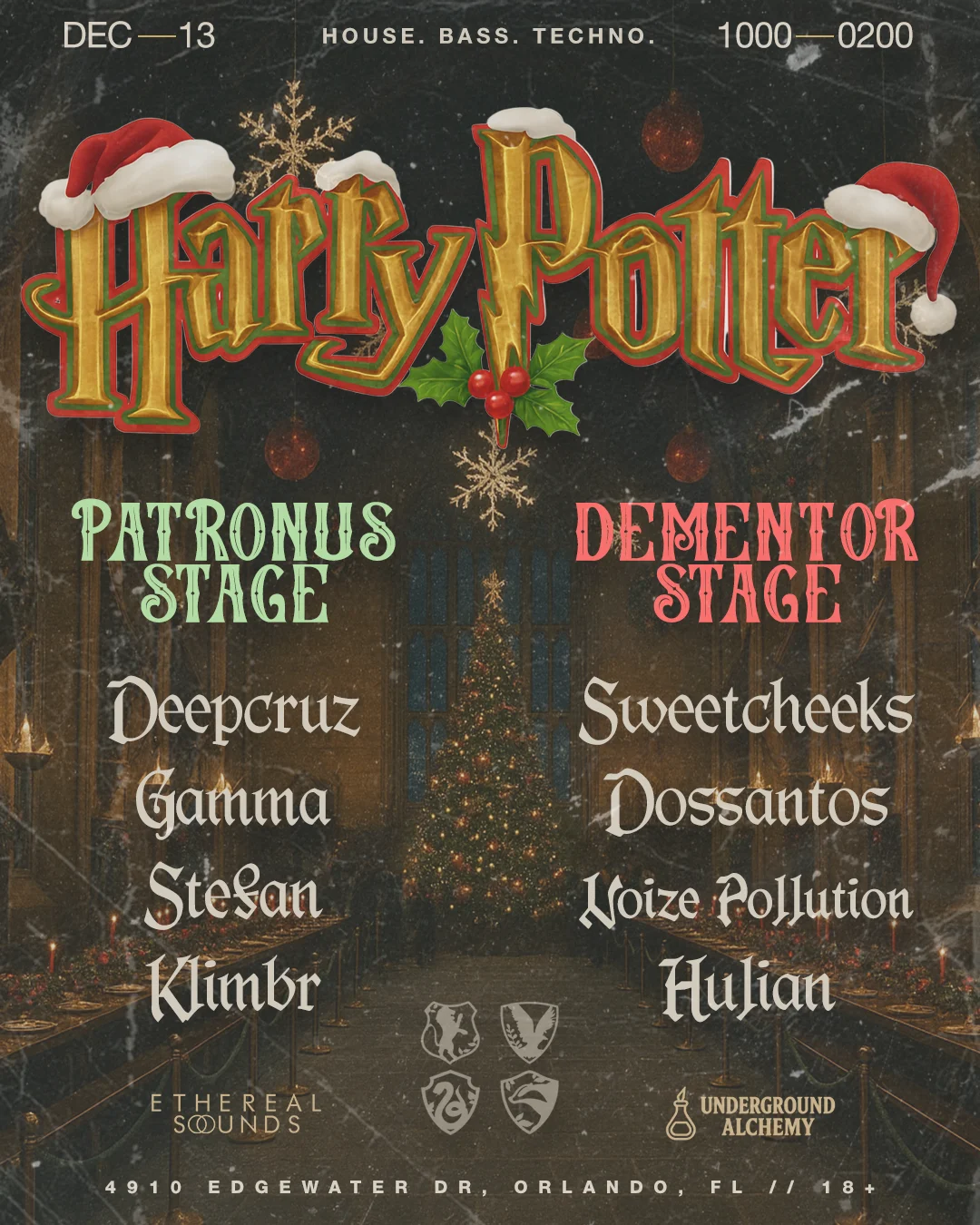 Harry Potter Rave