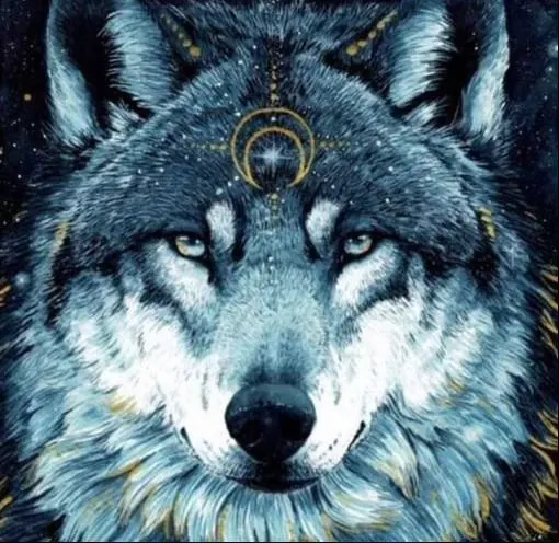 Shakti Afters: Nov 13