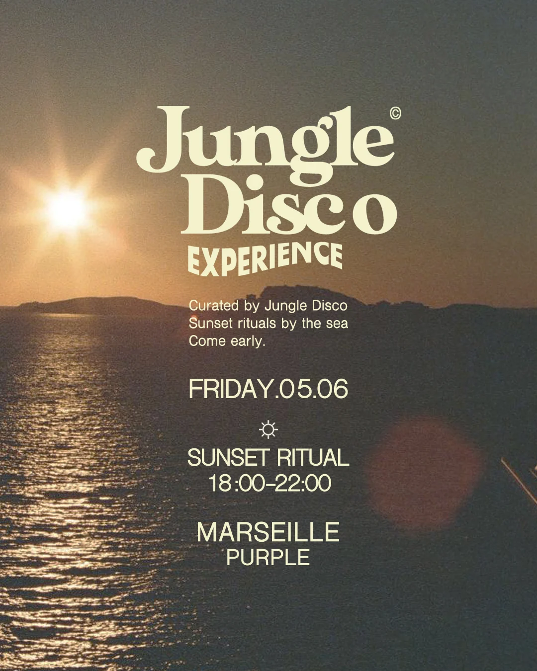 Jungle Disco Club - Purple