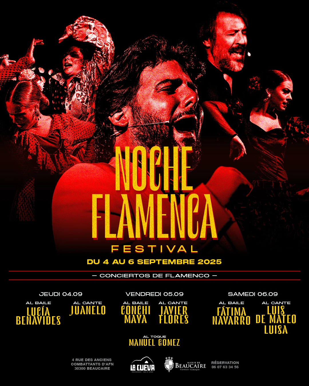 Noche Flamenca - Festival