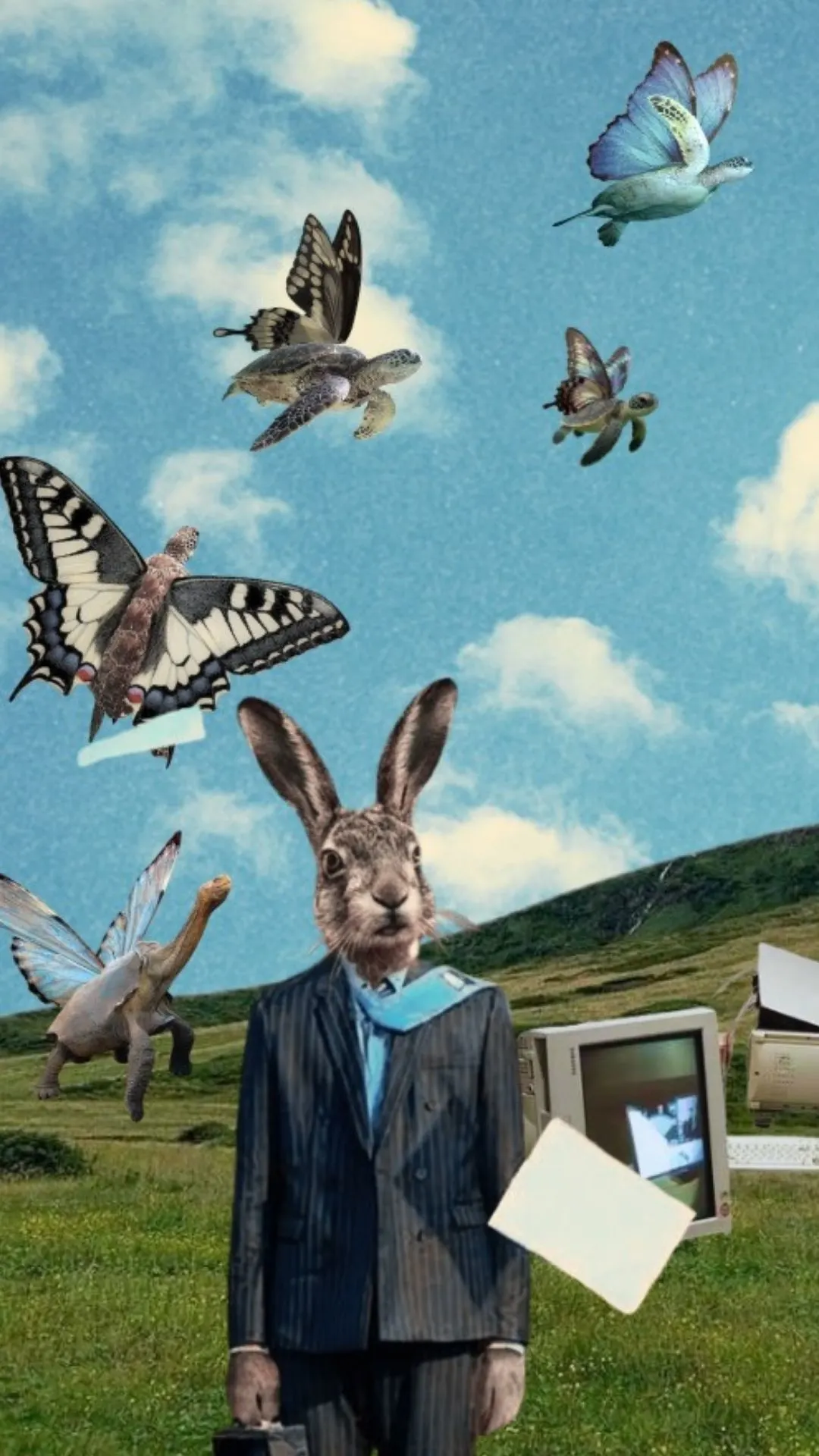 La Nièvre Et La Tortue Festival - 22/23/24/25 Mai 2026