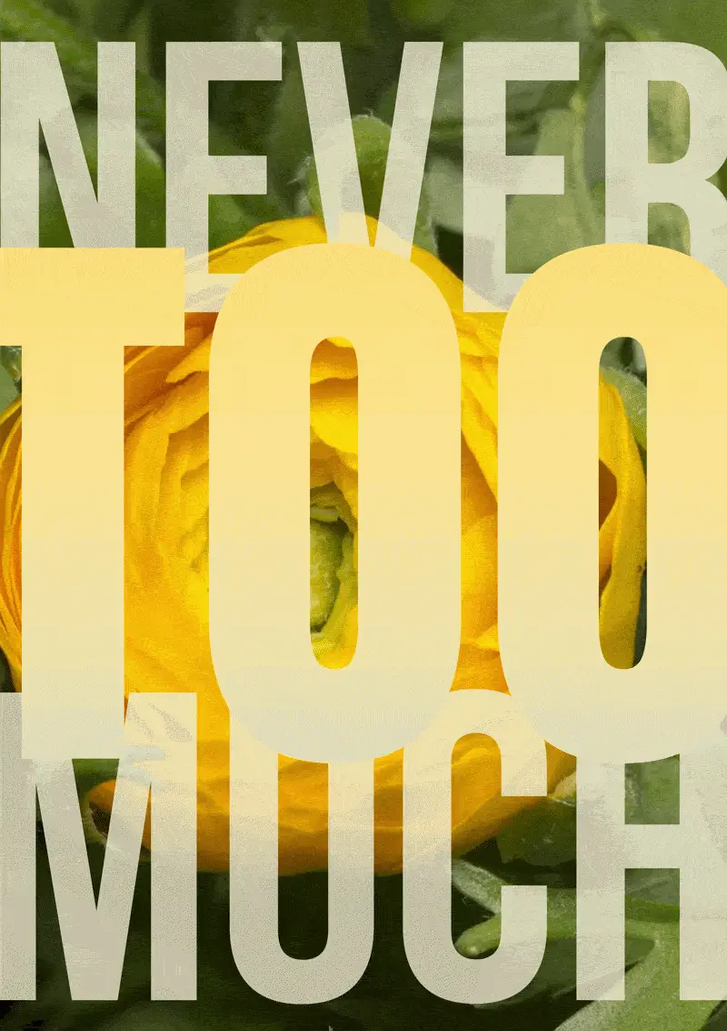 Never Too Much 008