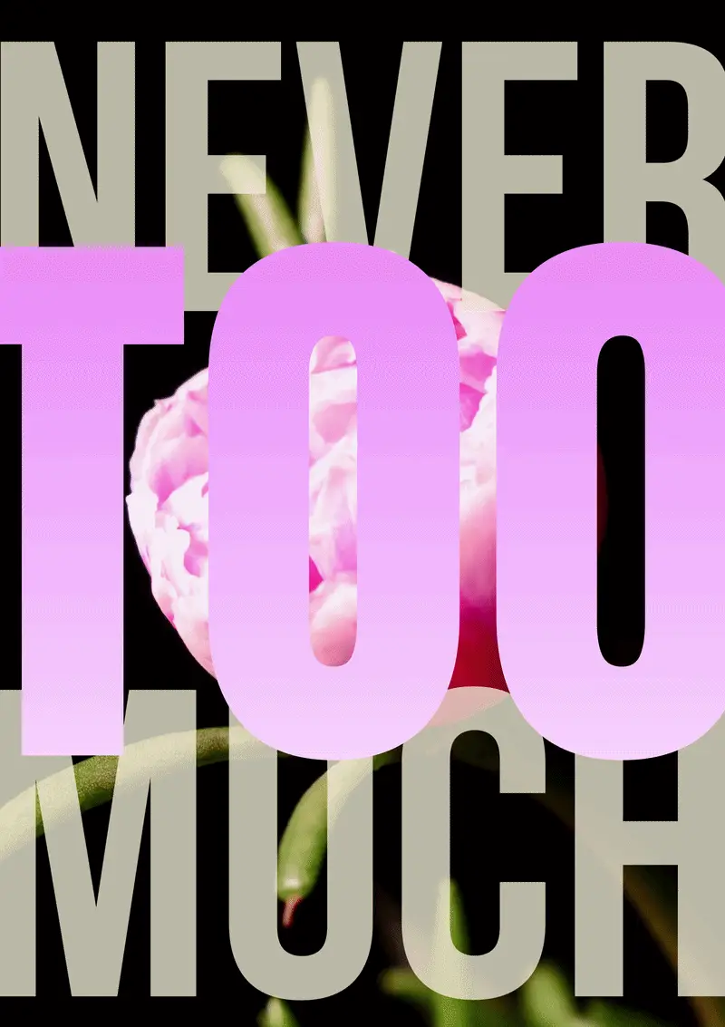 Never Too Much 007