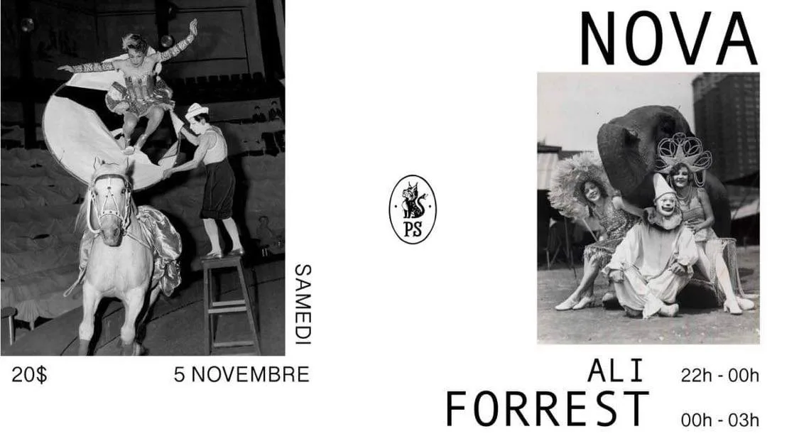 Nova - Forrest