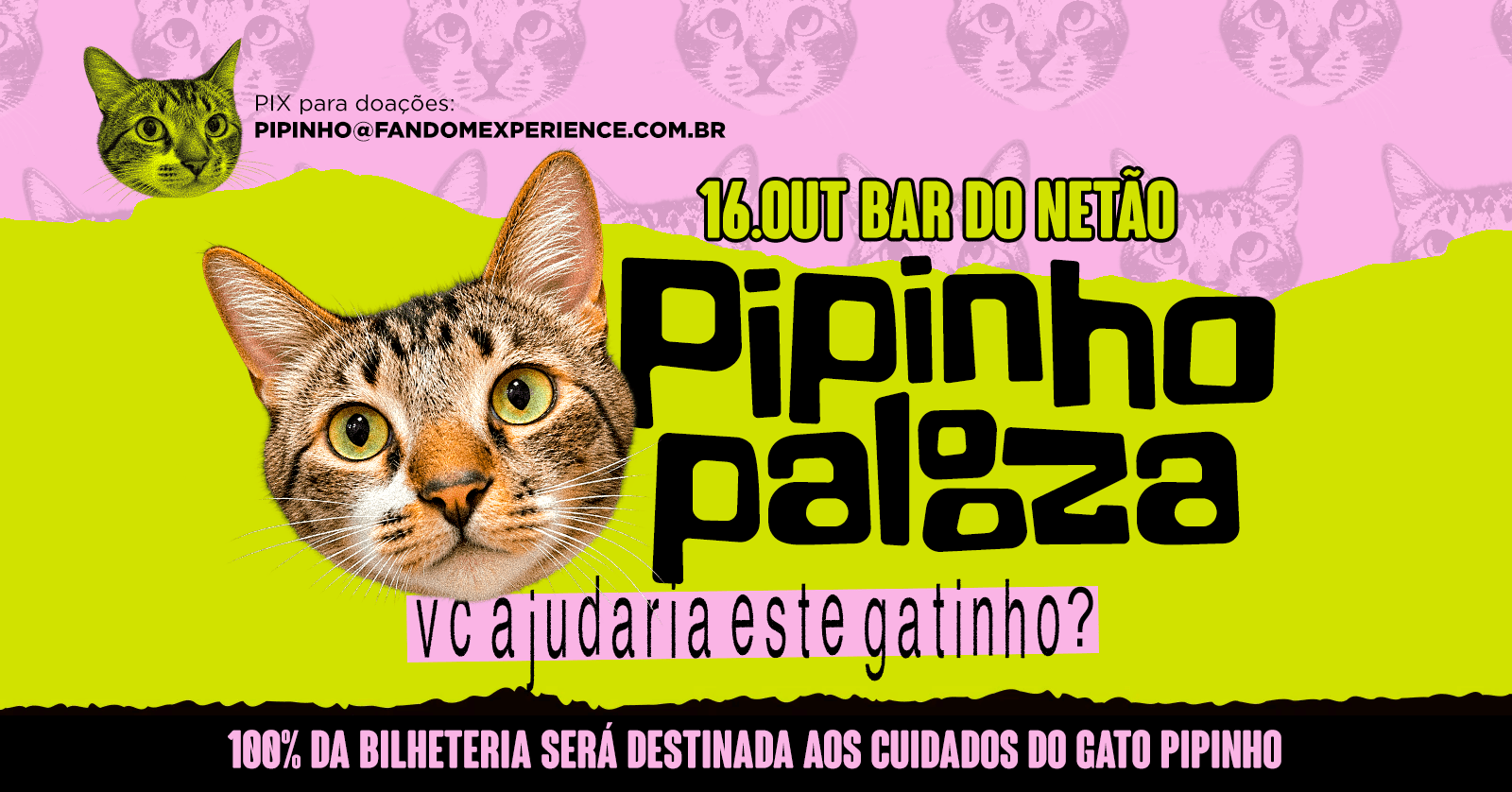 Pipinhopalooza 16.Out No Bar Do Netão
