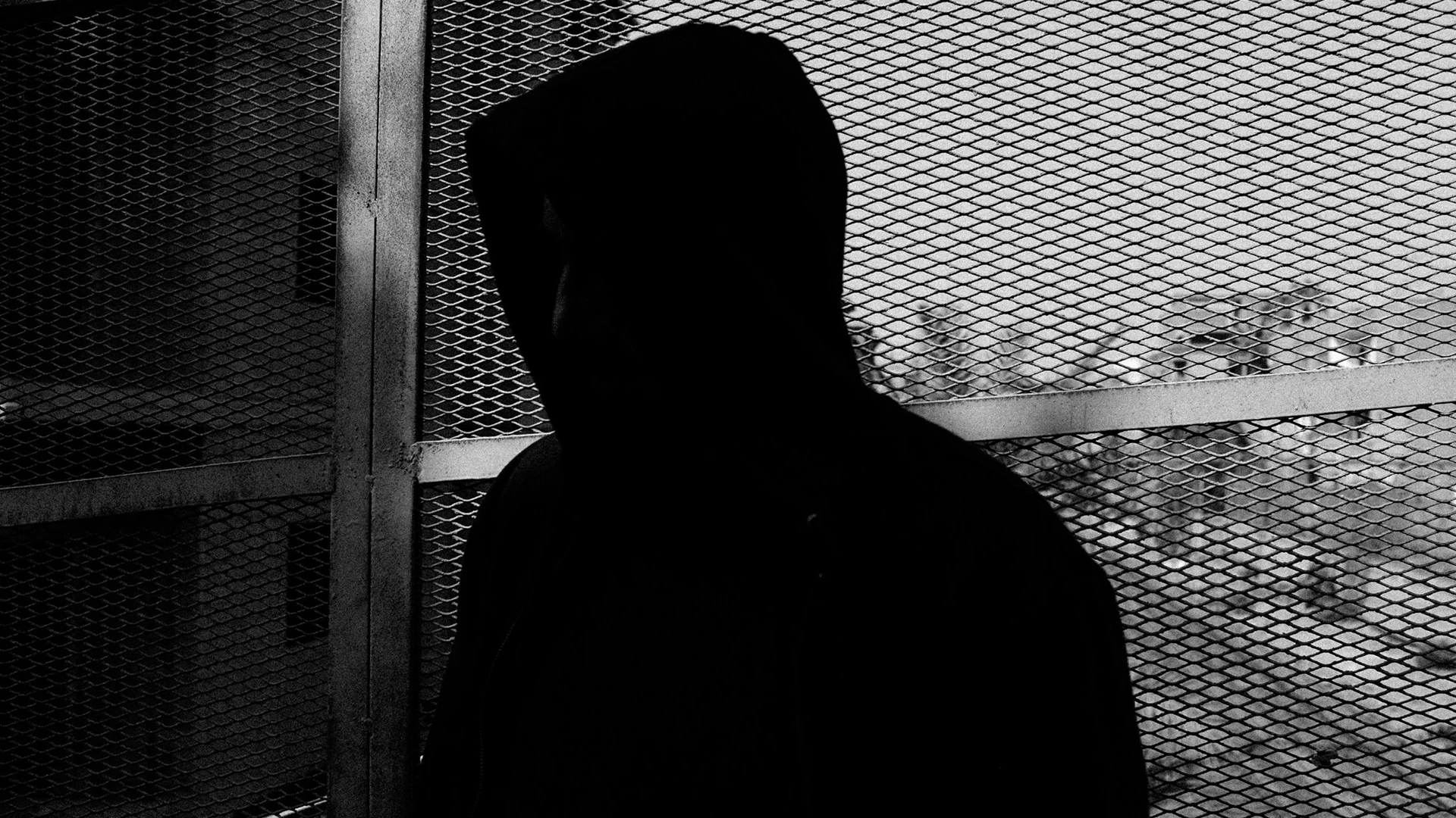 Party Series : #4 Polaar
