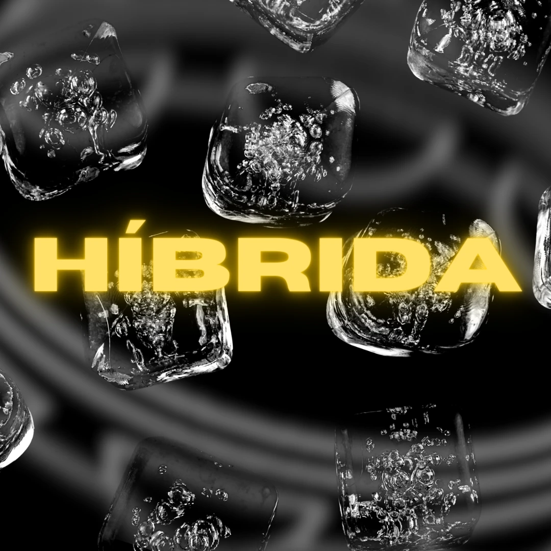 Híbrida 002 — Edição Especial "Quem Samba Primeiro" 16/12