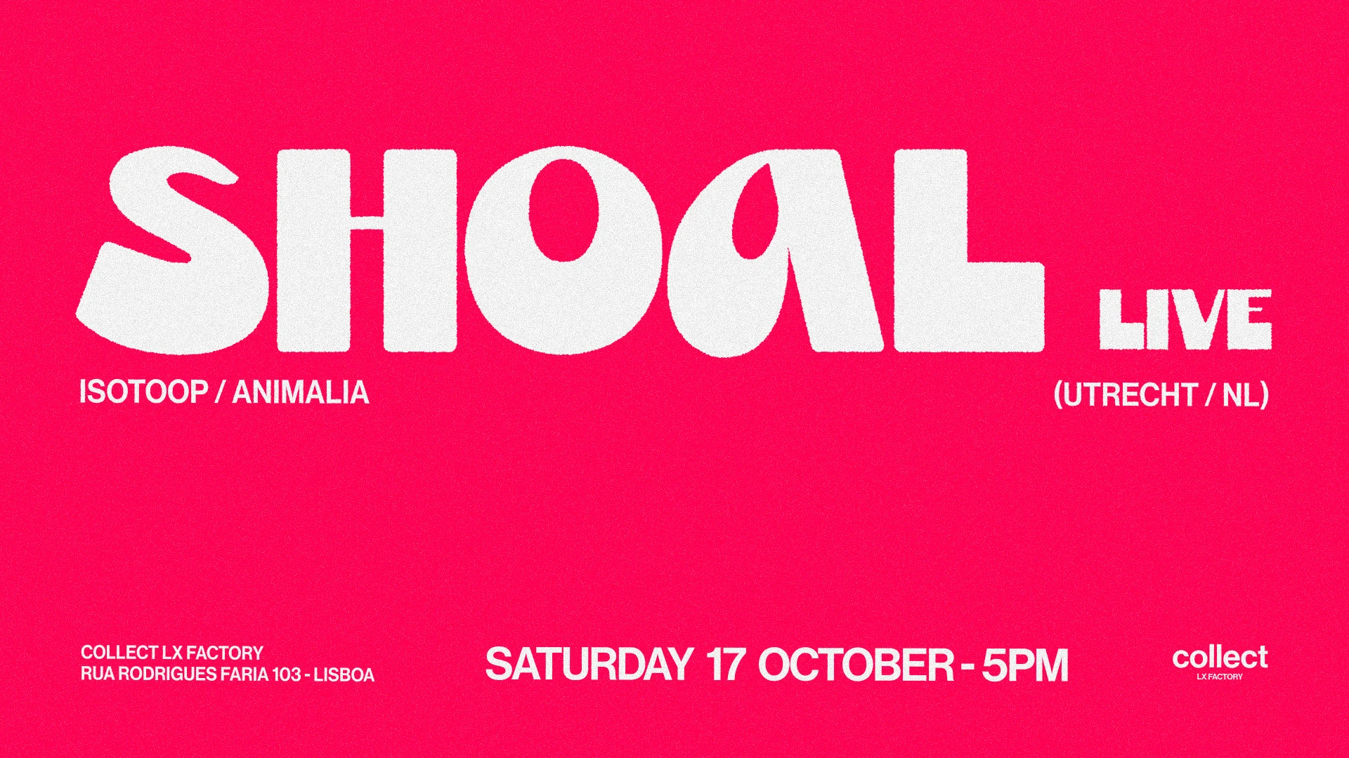 Collect LX Factory Presents Shoal (Live)
