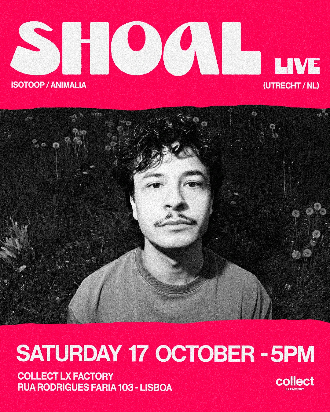 Collect LX Factory Presents Shoal (Live)