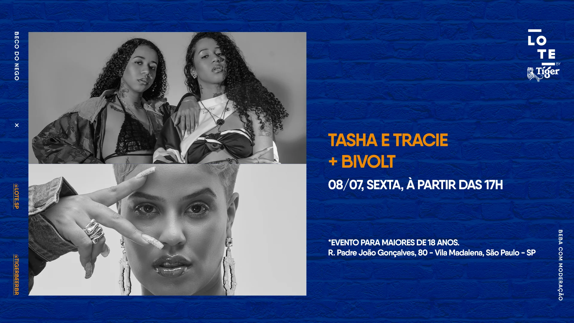 Lote By Tiger Com Tasha & Tracie + Bivolt
