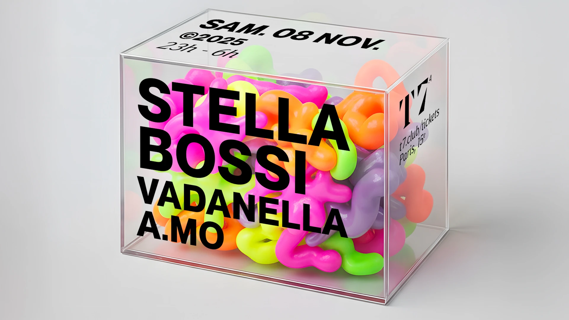 T7 : Stella Bossi