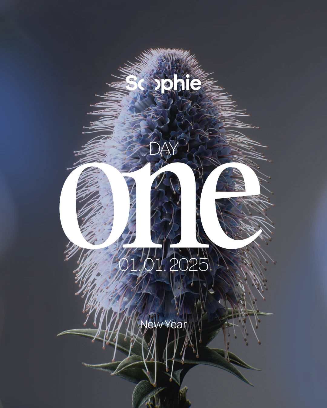 Sophie Festival Day One - Luciano (Extended Set)