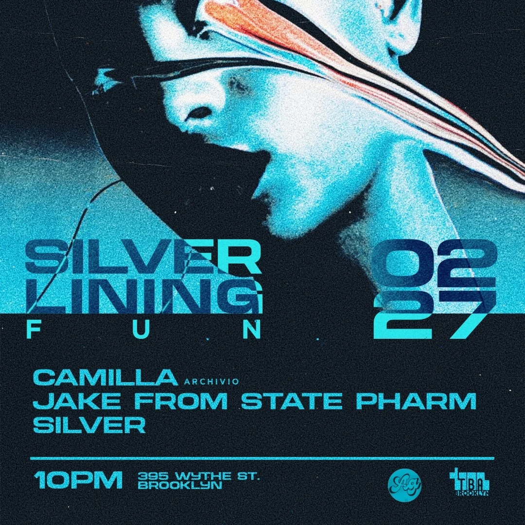 Silverlining: Camilla, Jake From State Pharm, Silver