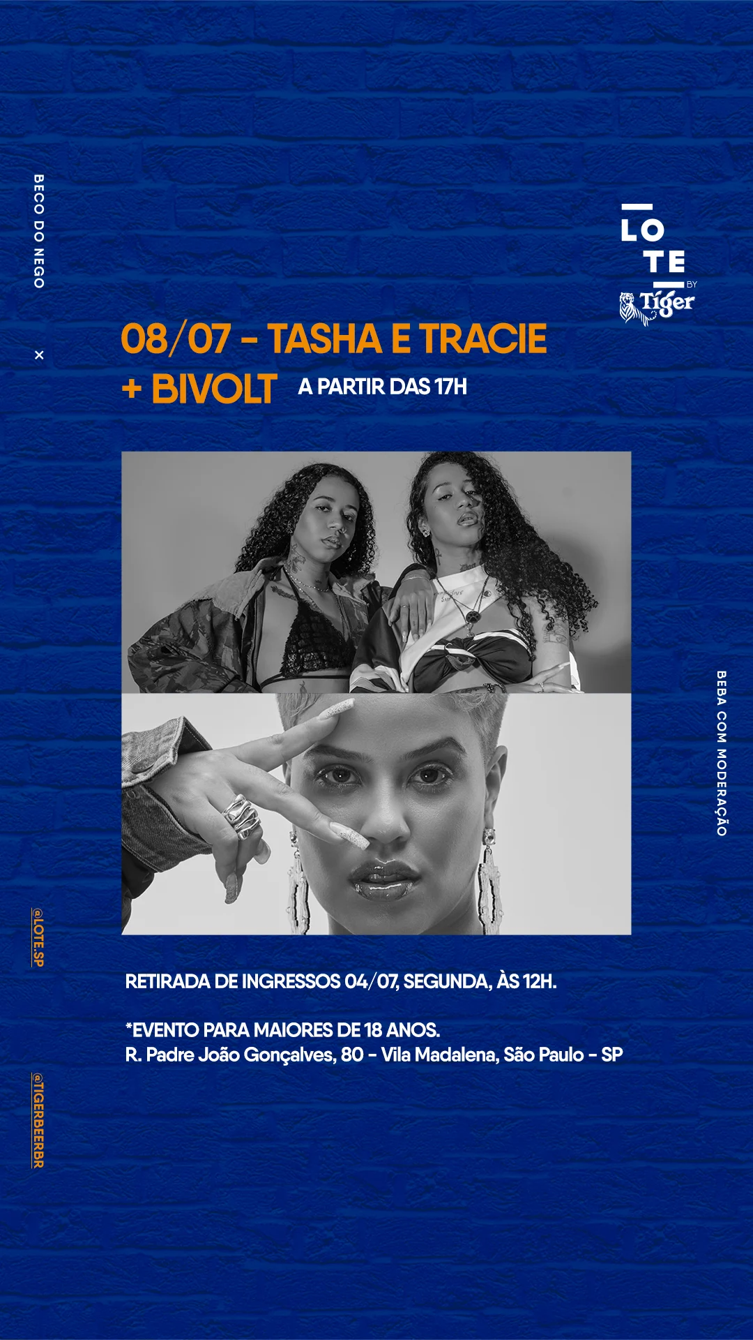 Lote By Tiger Com Tasha & Tracie + Bivolt
