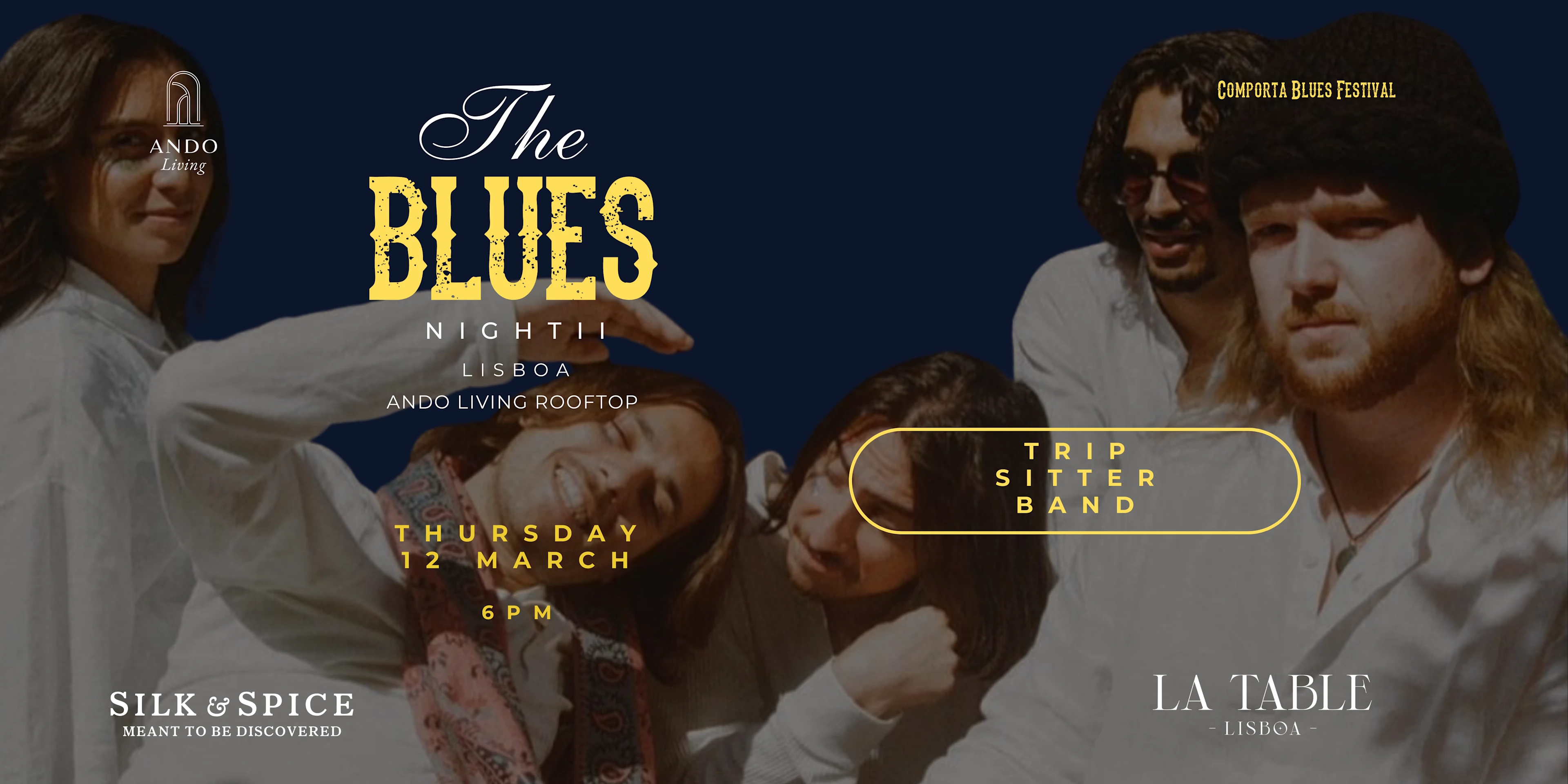 Blues Night II - Trip Sitter Band