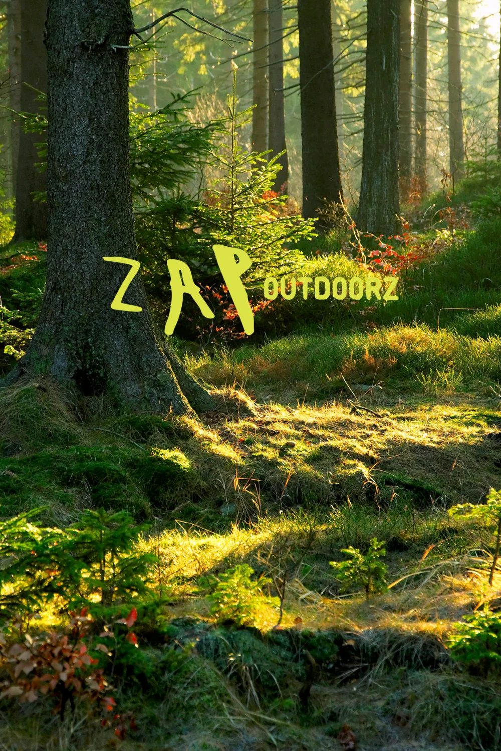 Zap Outdoorz 2025