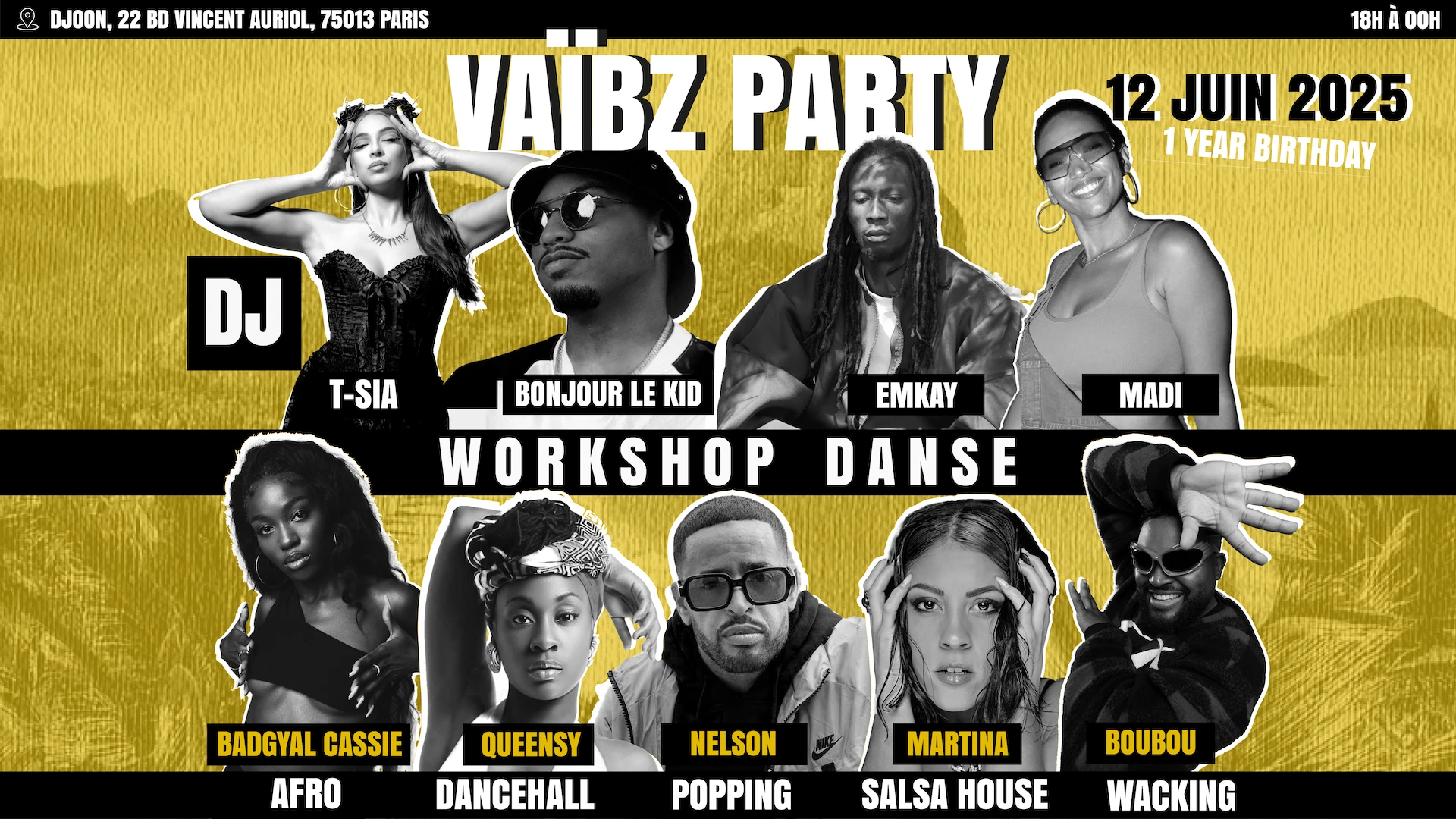 Vaibz Party