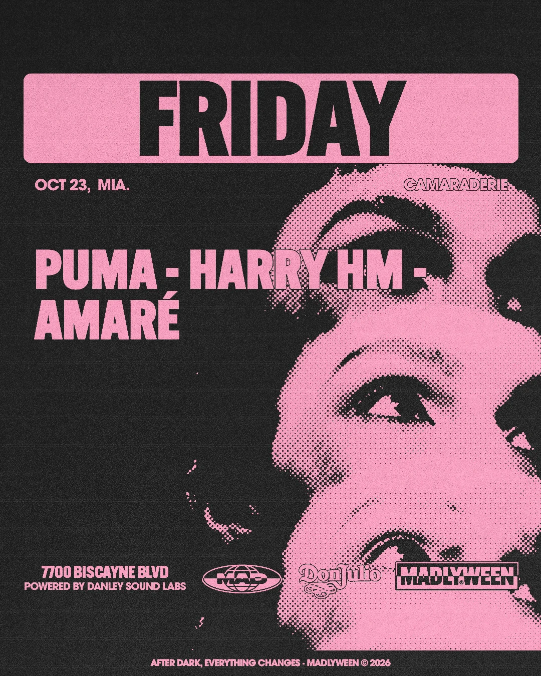 Camaraderie: Puma / Harry Hm / Amaré